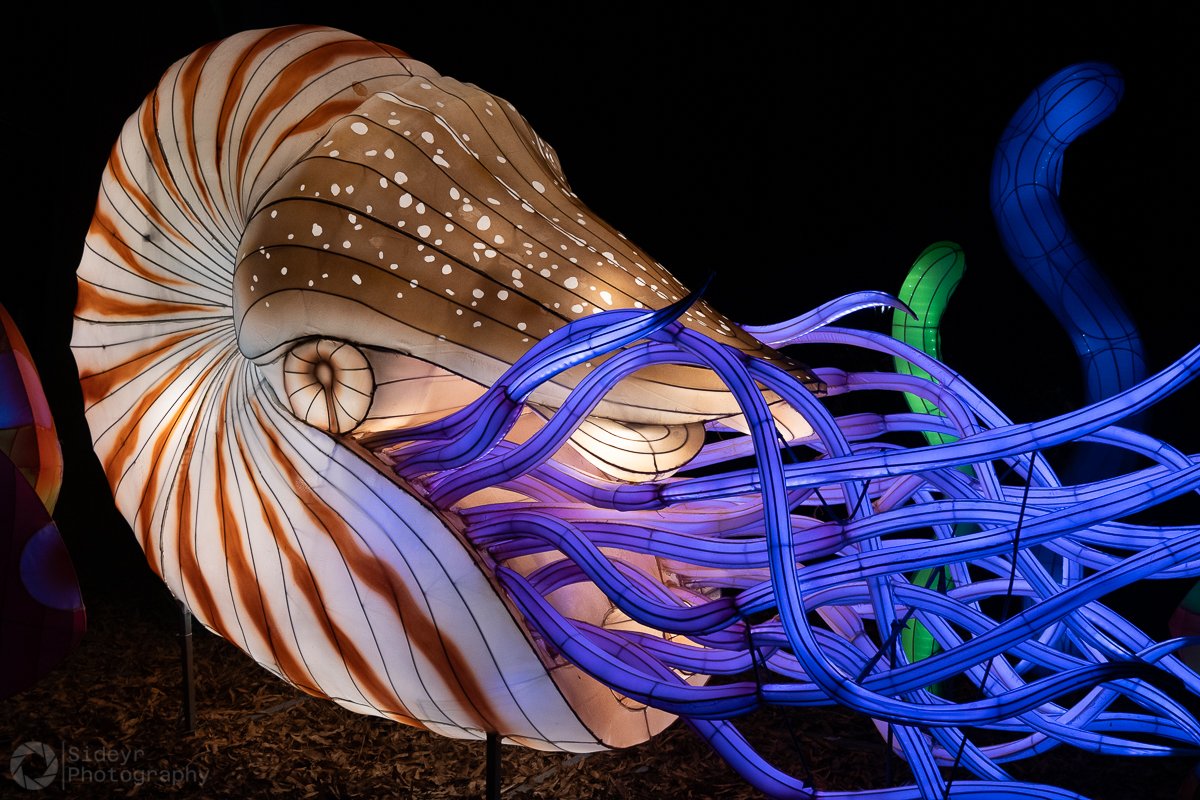 ART-5
