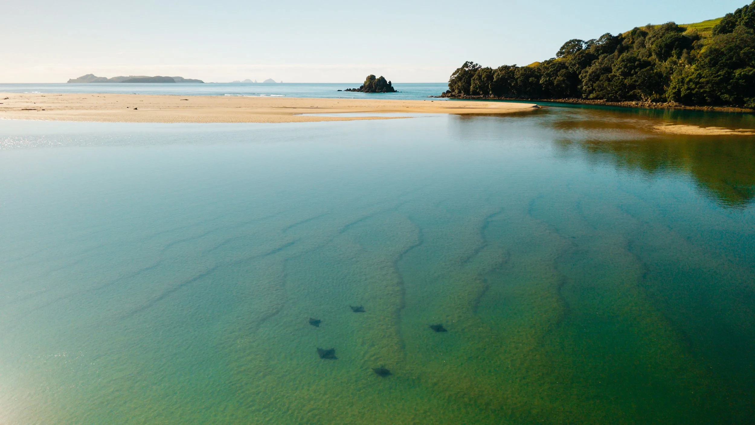 DJI_20260611112224_0384_D.jpg