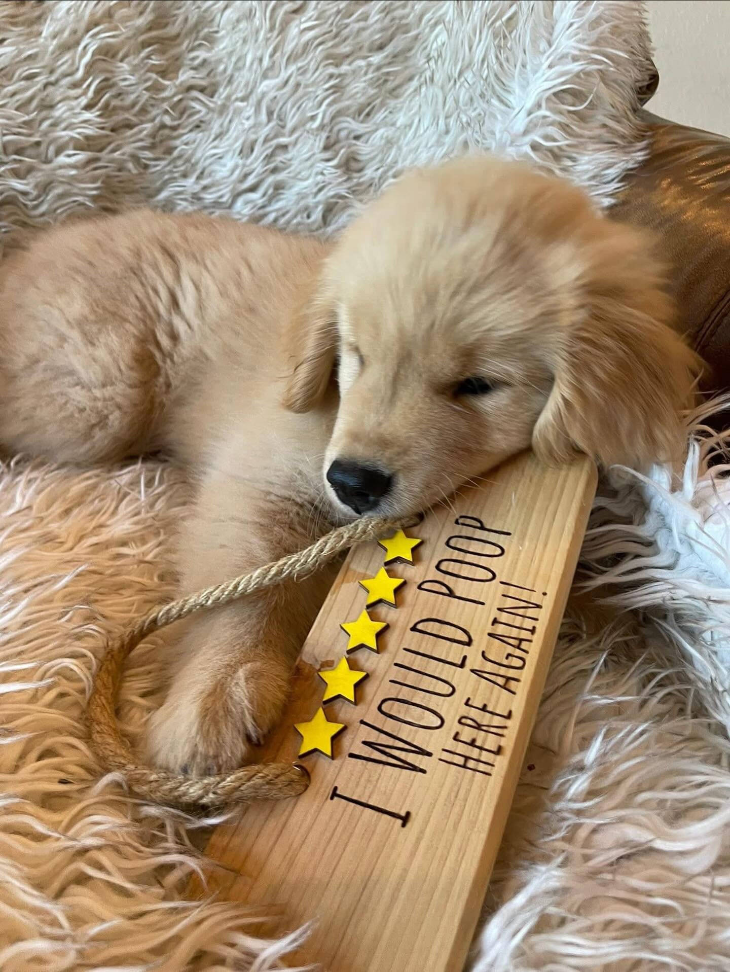 Blossom leaves her first review at just 2 months old!