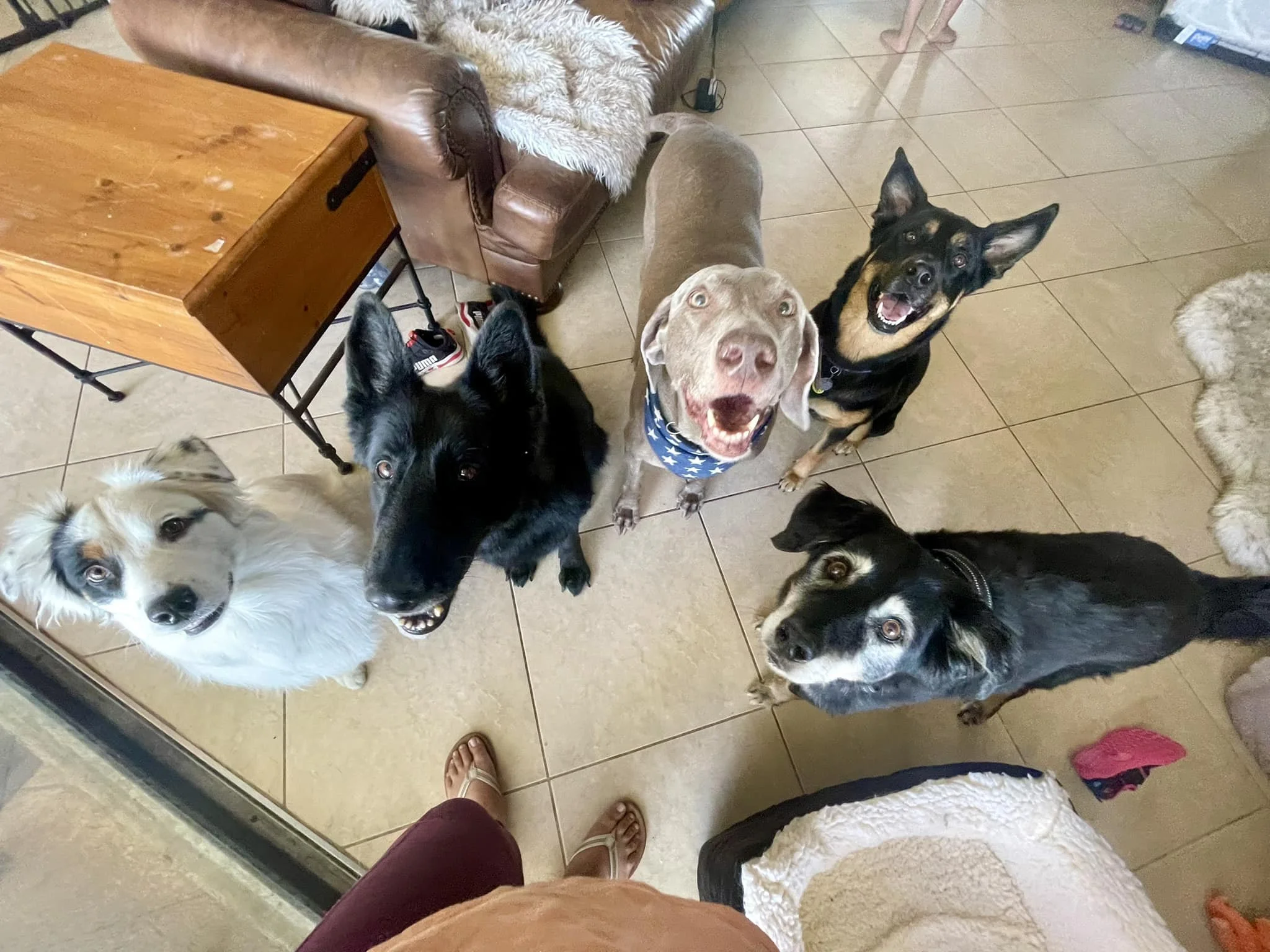 Everyone is ready to run outside!