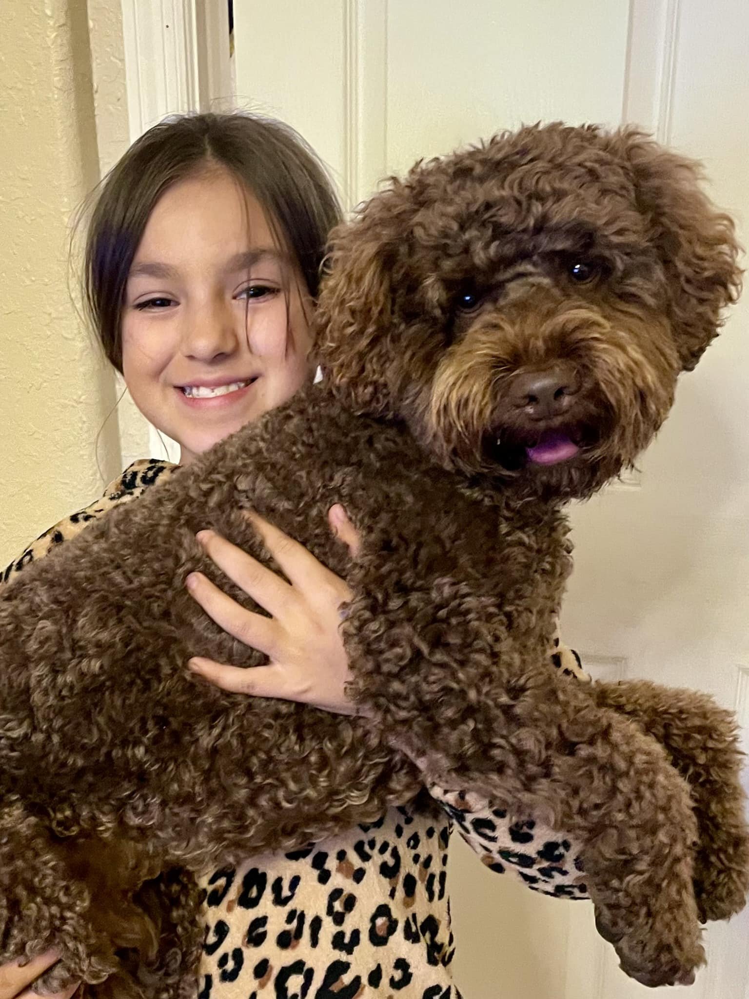 Ziggy loves being held during his overnight stays!