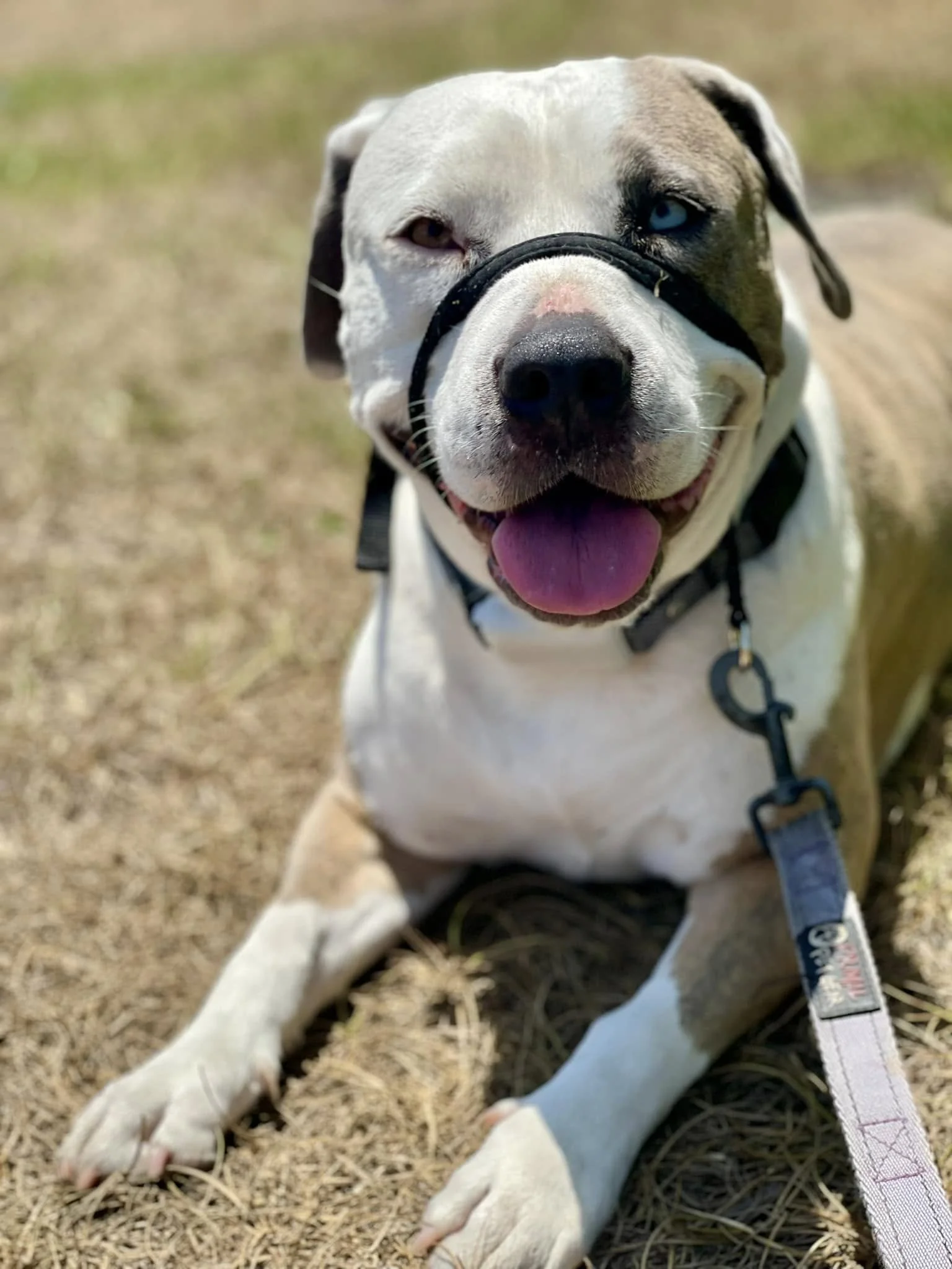 Champion enjoys some vitamin D