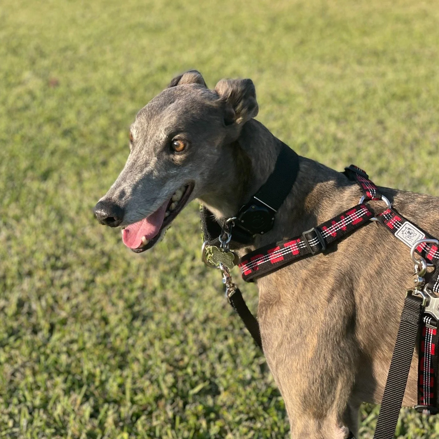 Ray loves spending time in a calm environment