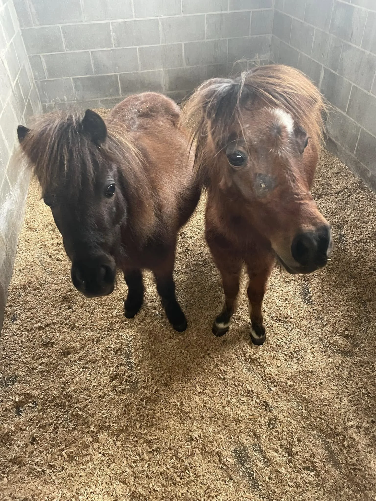 Minnie Mouse and Baby Yoda 