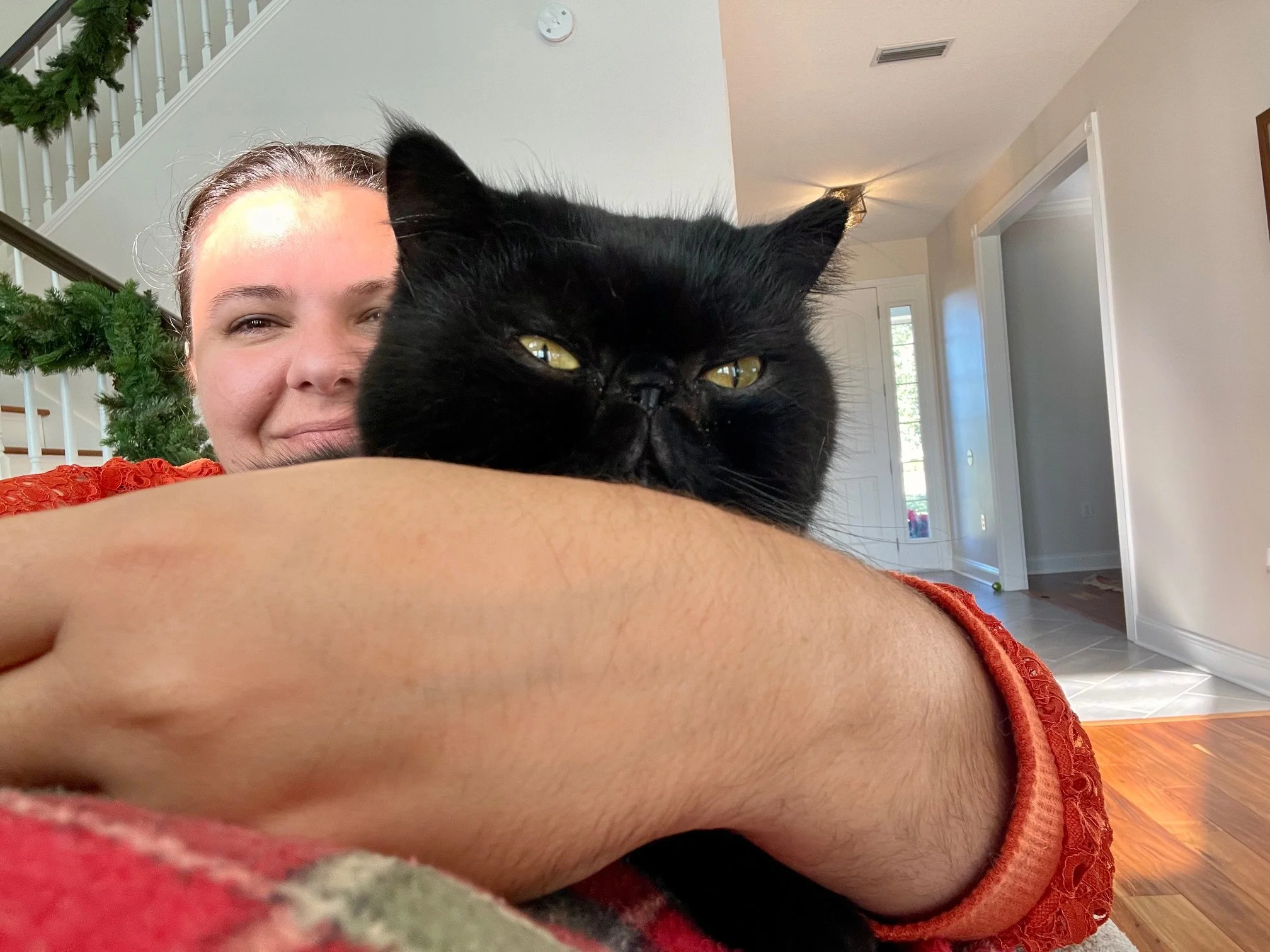 Desmond loves having snuggles