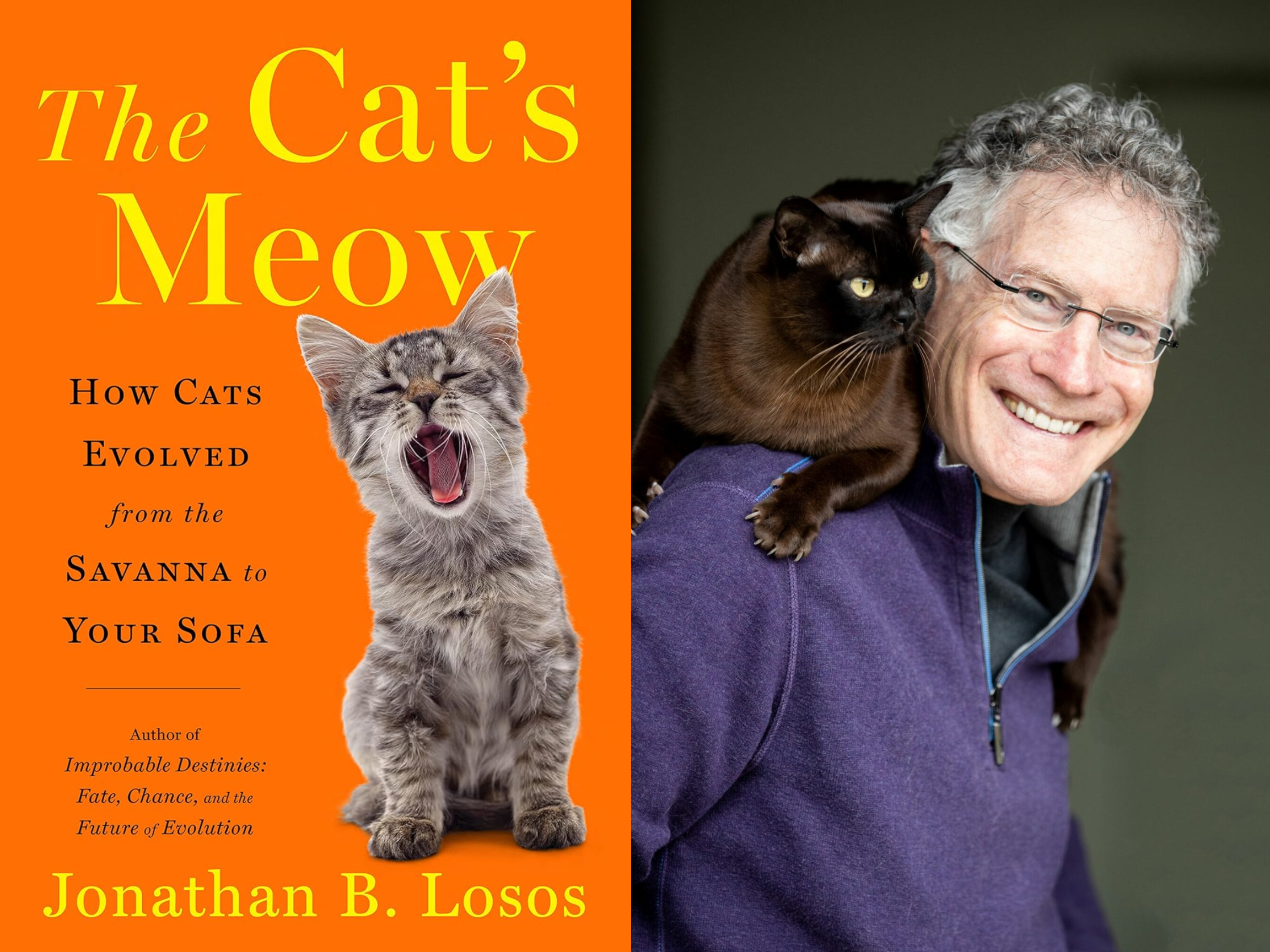 ‘The Cat’s Meow’ by Jonathan B. Losos