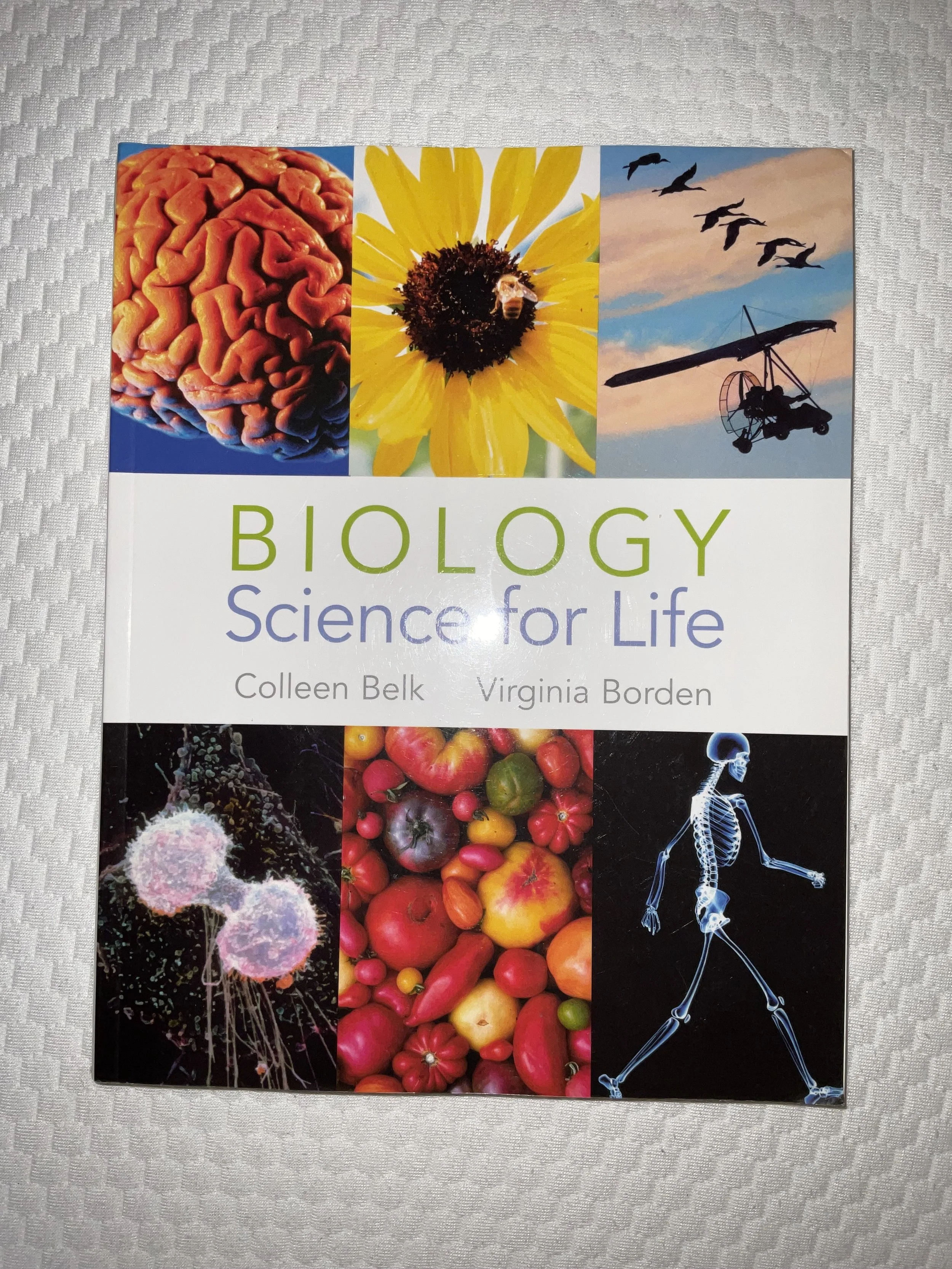 Biology Science for Life - Hardback