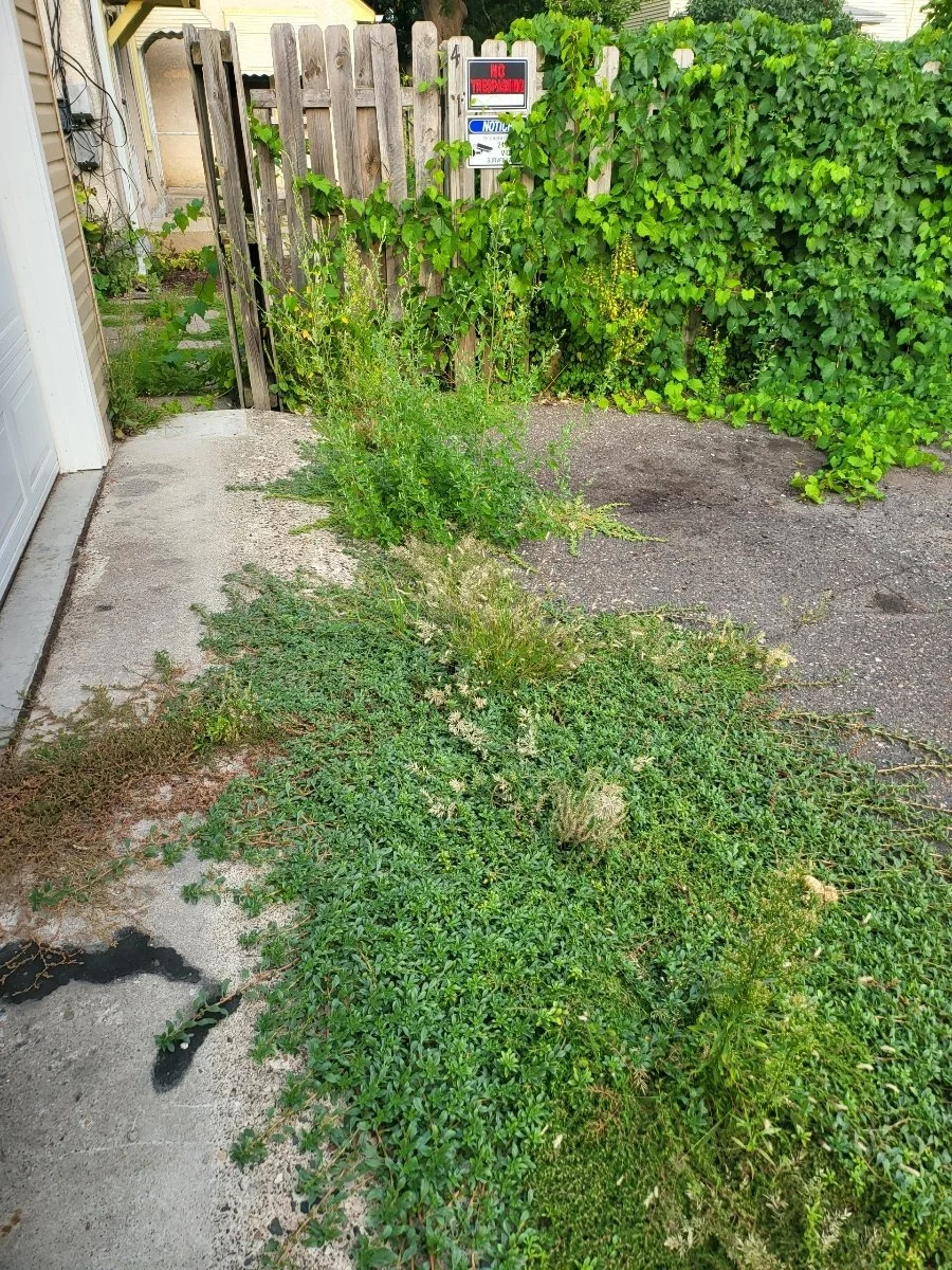 Resized_Resized_20230828_184129_1714339039424_1714339079222 2.JPEG