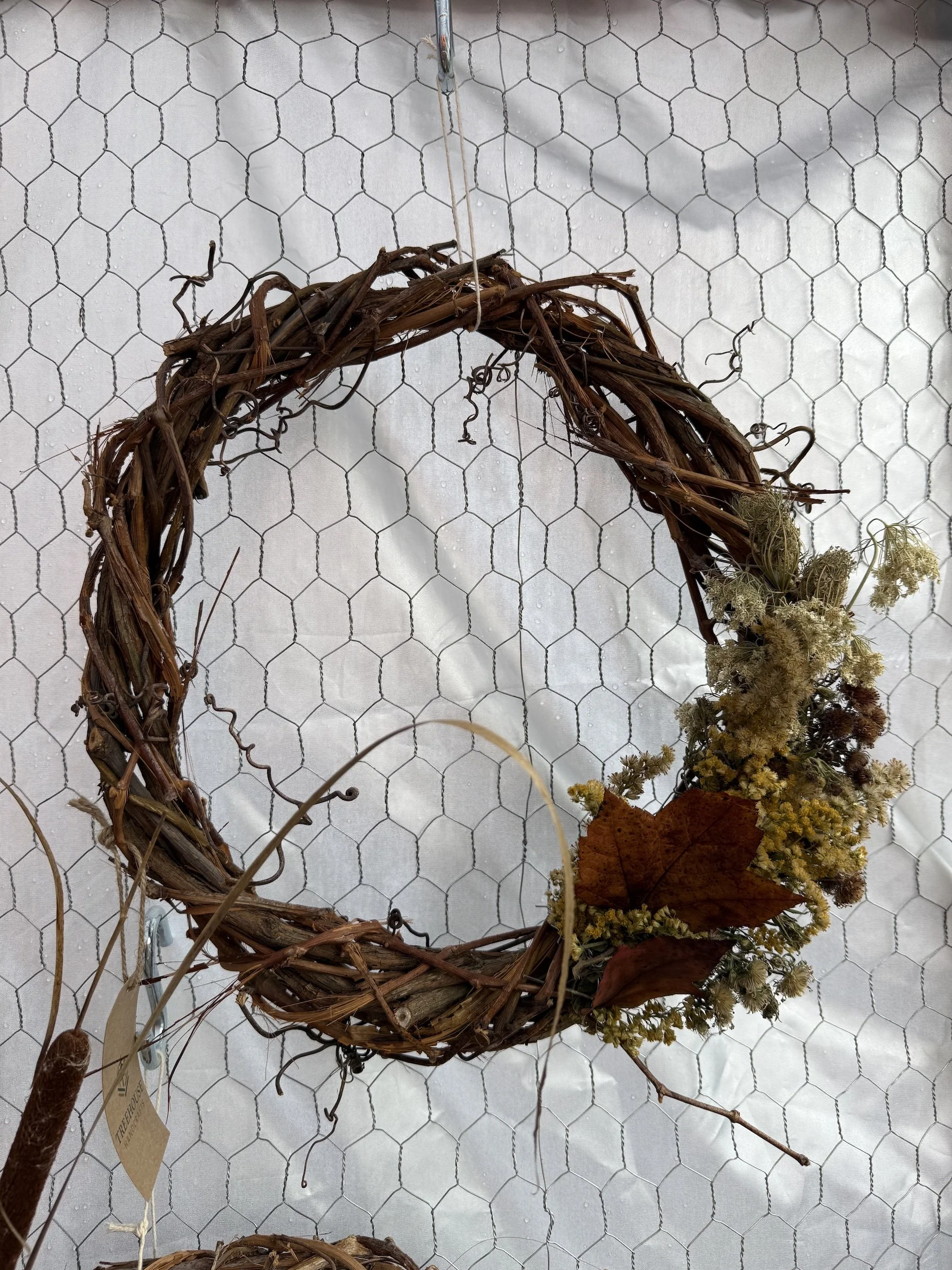 Wild Grapevine Autumn Wreaths