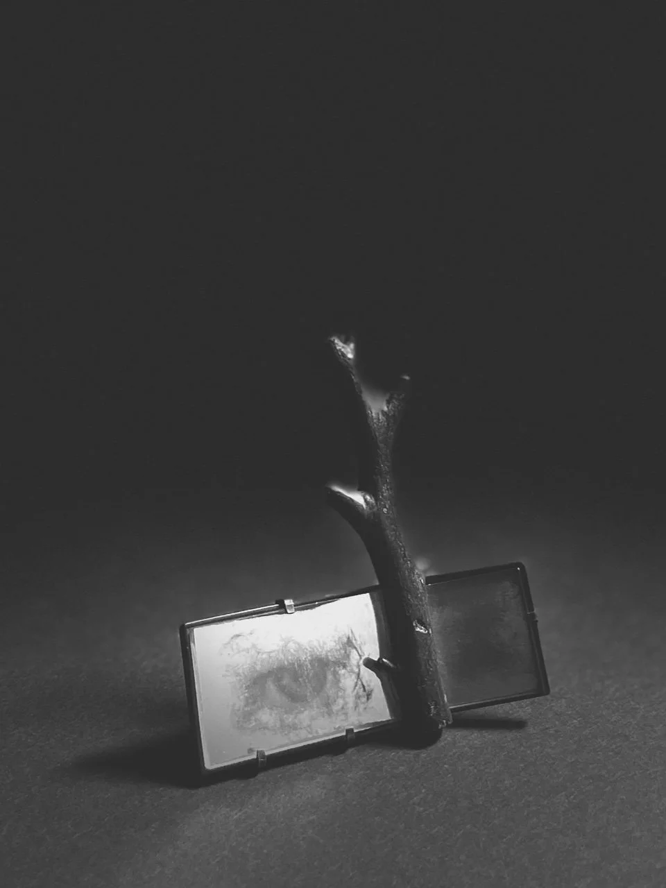 07_HOMEOPATHIC OBJECTS BROOCH Detail _Talcott.jpeg