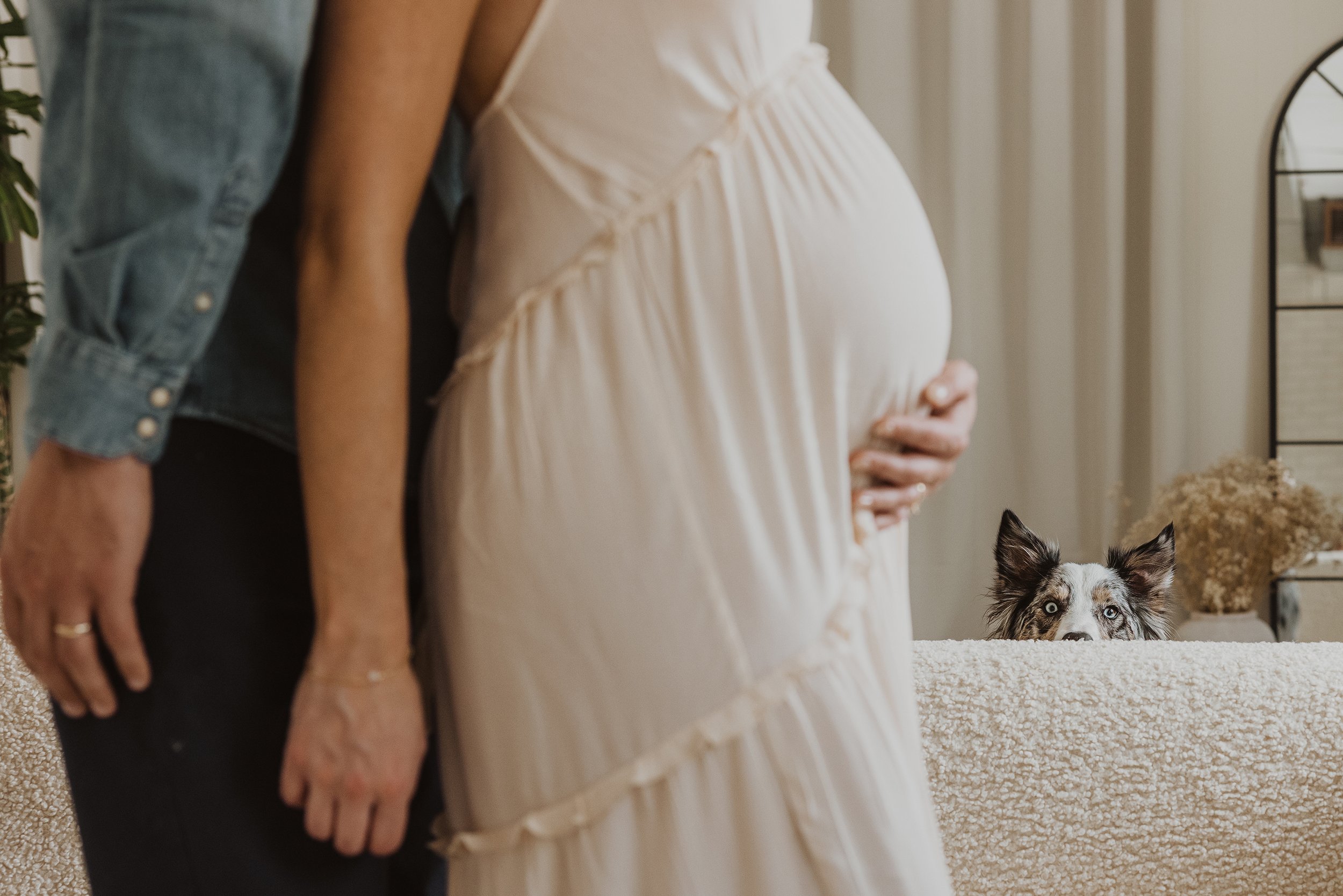 A humorous and heartwarming shot of a dog peeking over a couch while a pregnant woman stands in the foreground, gently holding her baby bump.