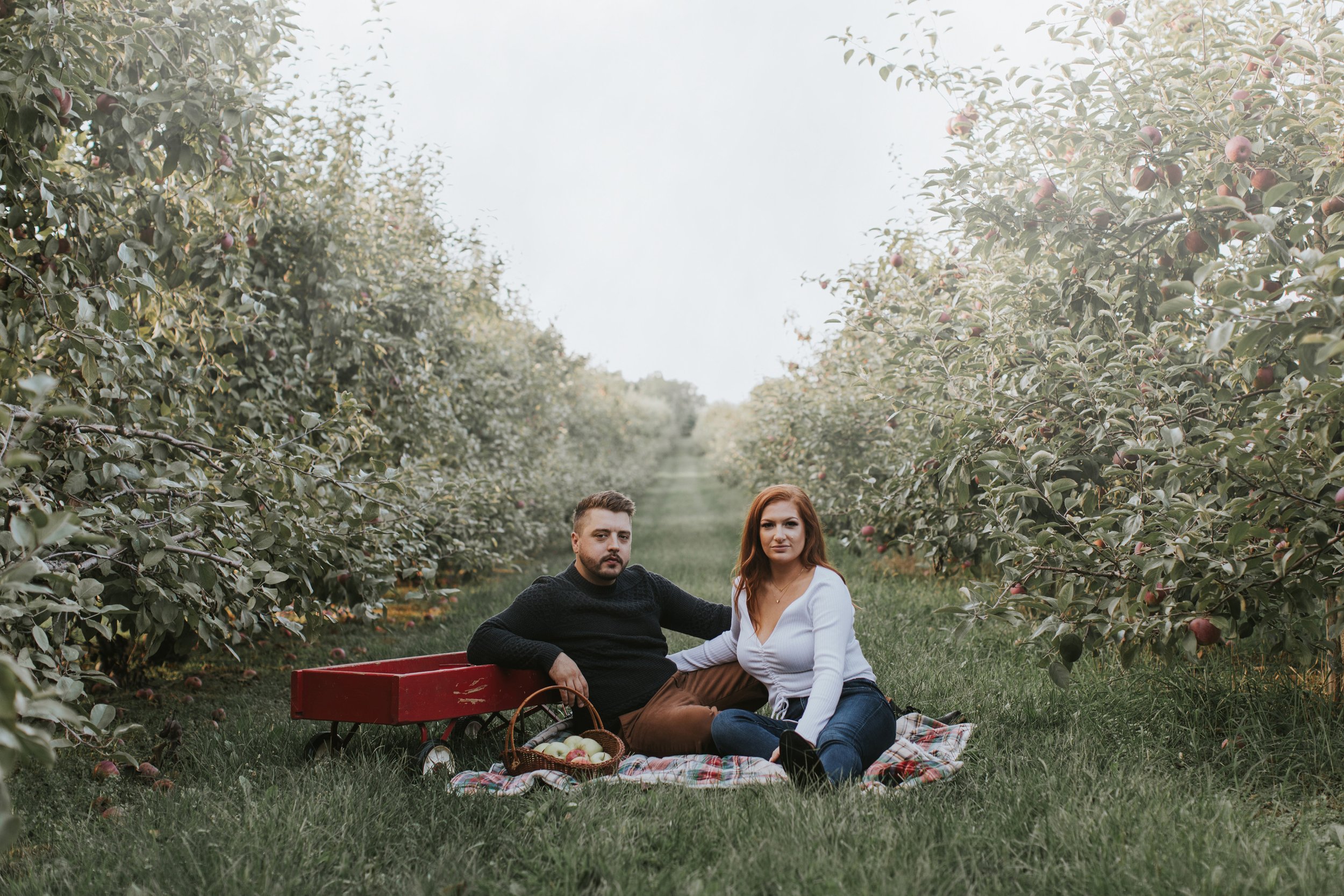Couple sitting on a blanket with a picnic basket in an apple orchard, surrounded by rows of apple trees during the fall season.