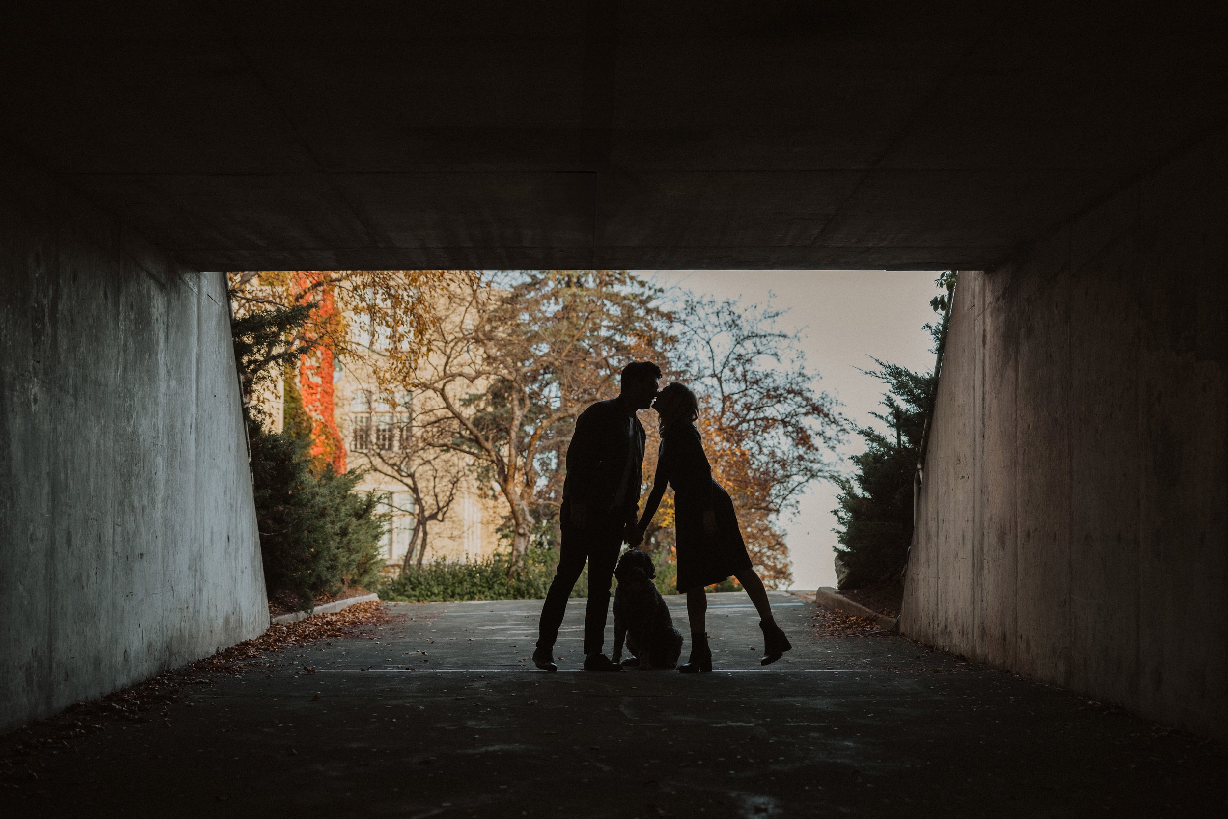 A silhouette of a couple and their dog sharing a kiss under a tunnel in an autumn setting during their engagement.