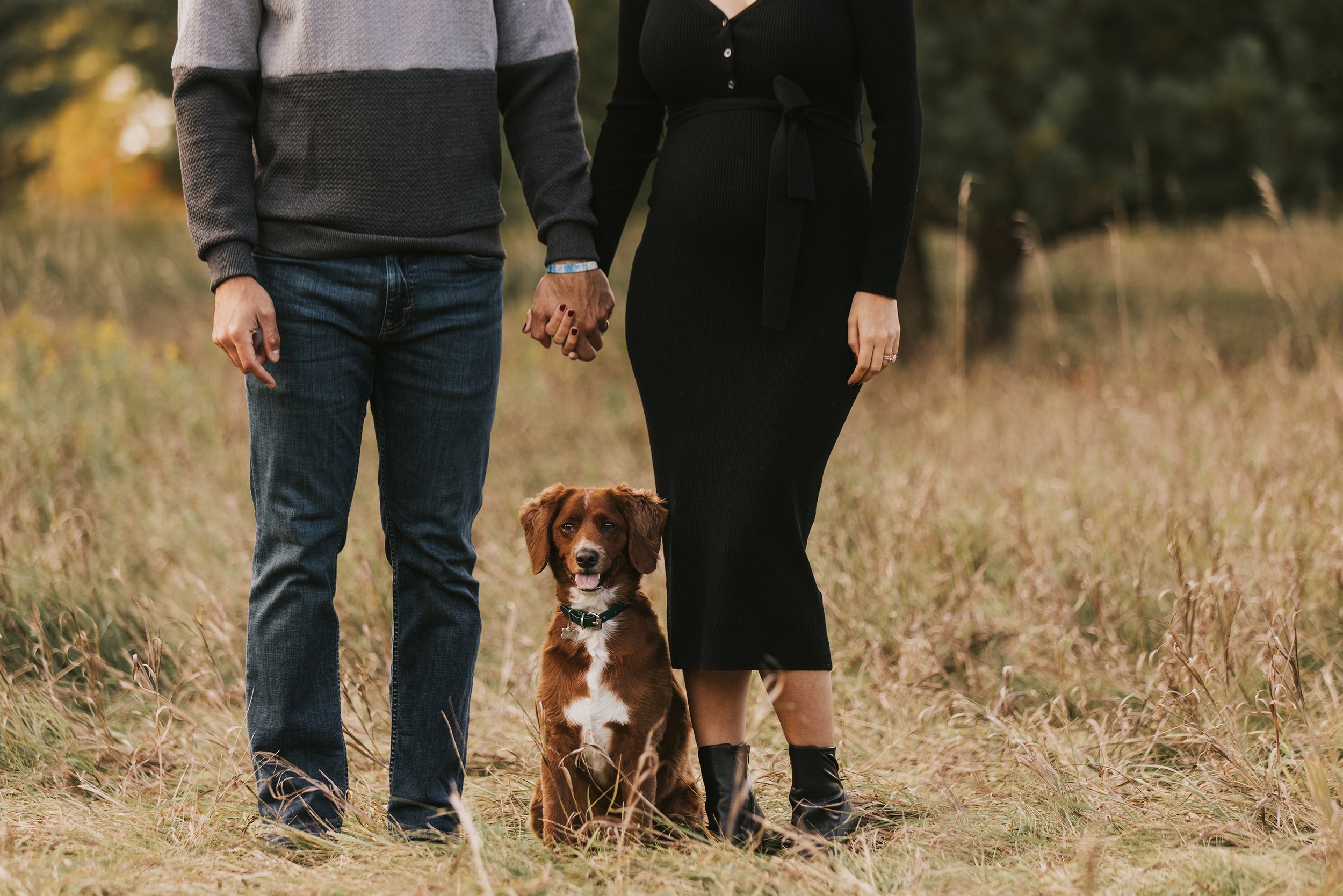 A couple holding hands with their dog sitting between them on a grassy field, celebrating their pregnancy in a serene outdoor setting.