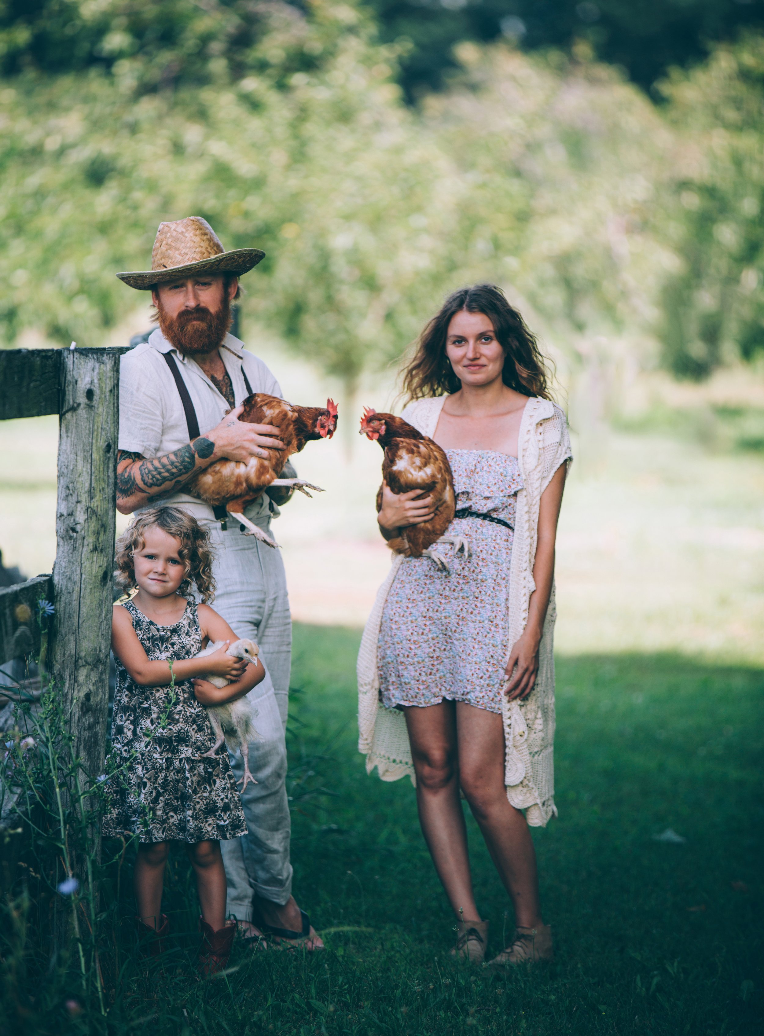 A rustic, farm-themed family portrait featuring parents and their young daughter holding chickens. The family stands by a wooden fence in an orchard, dressed in casual, vintage-inspired clothing. The natural setting and earthy tones enhance the down-