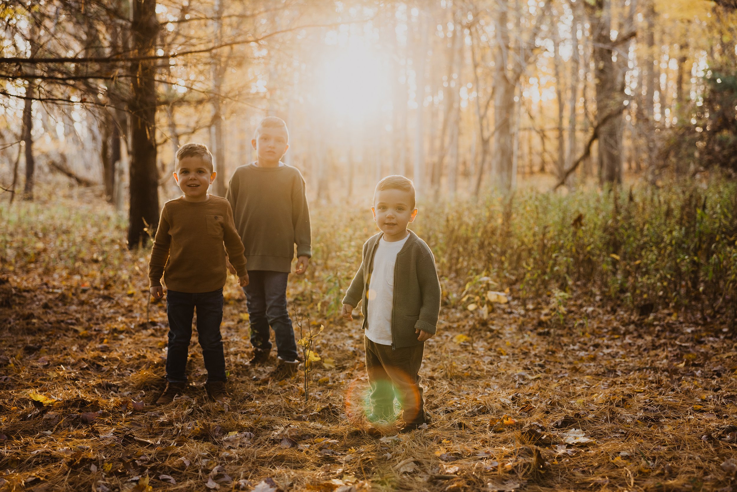 Three young boys standing in a sunlit fall forest, London Ontario.