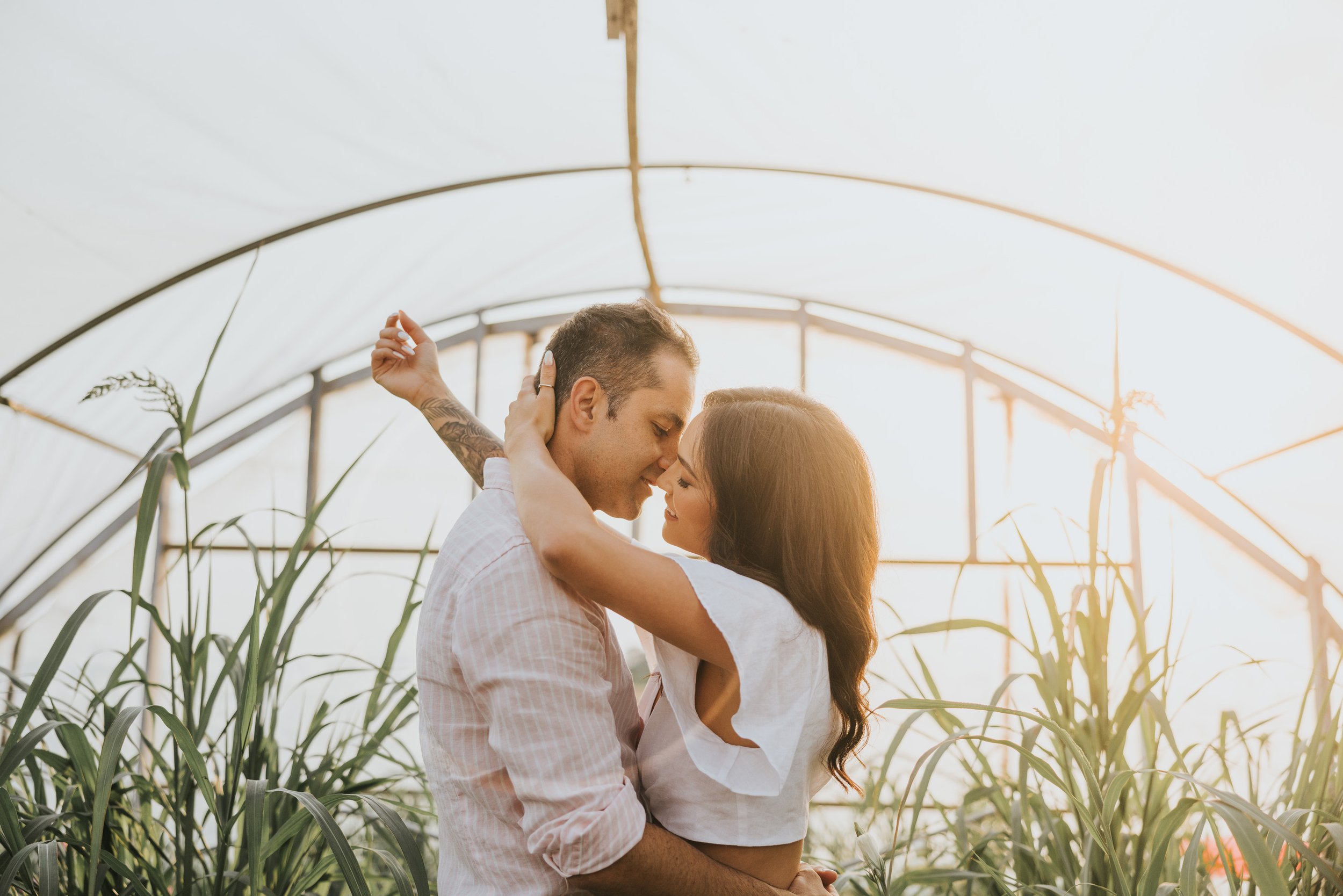 A couple embraces and kisses in a greenhouse, bathed in the soft light of sunrise.