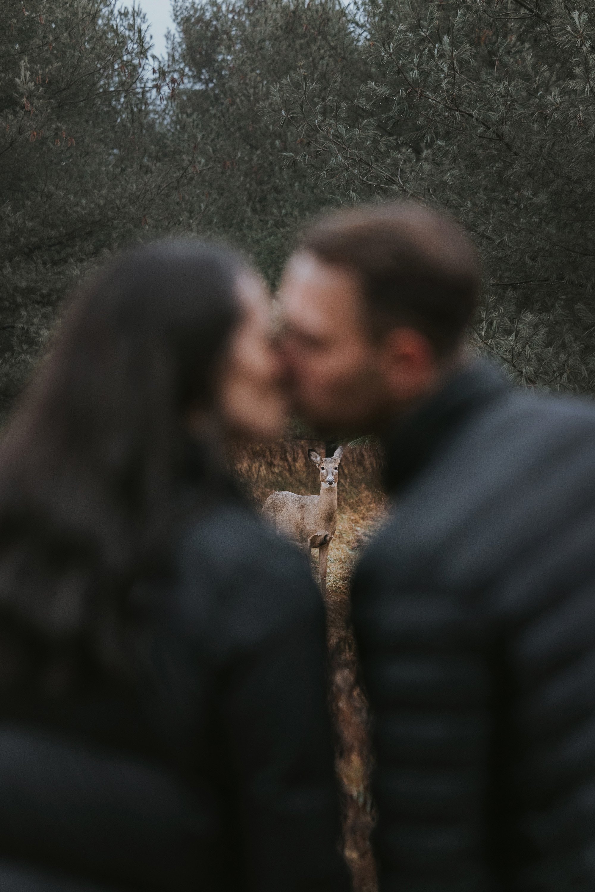 A couple shares a kiss in a forest, with a deer curiously observing in the background, creating a magical and serene scene.