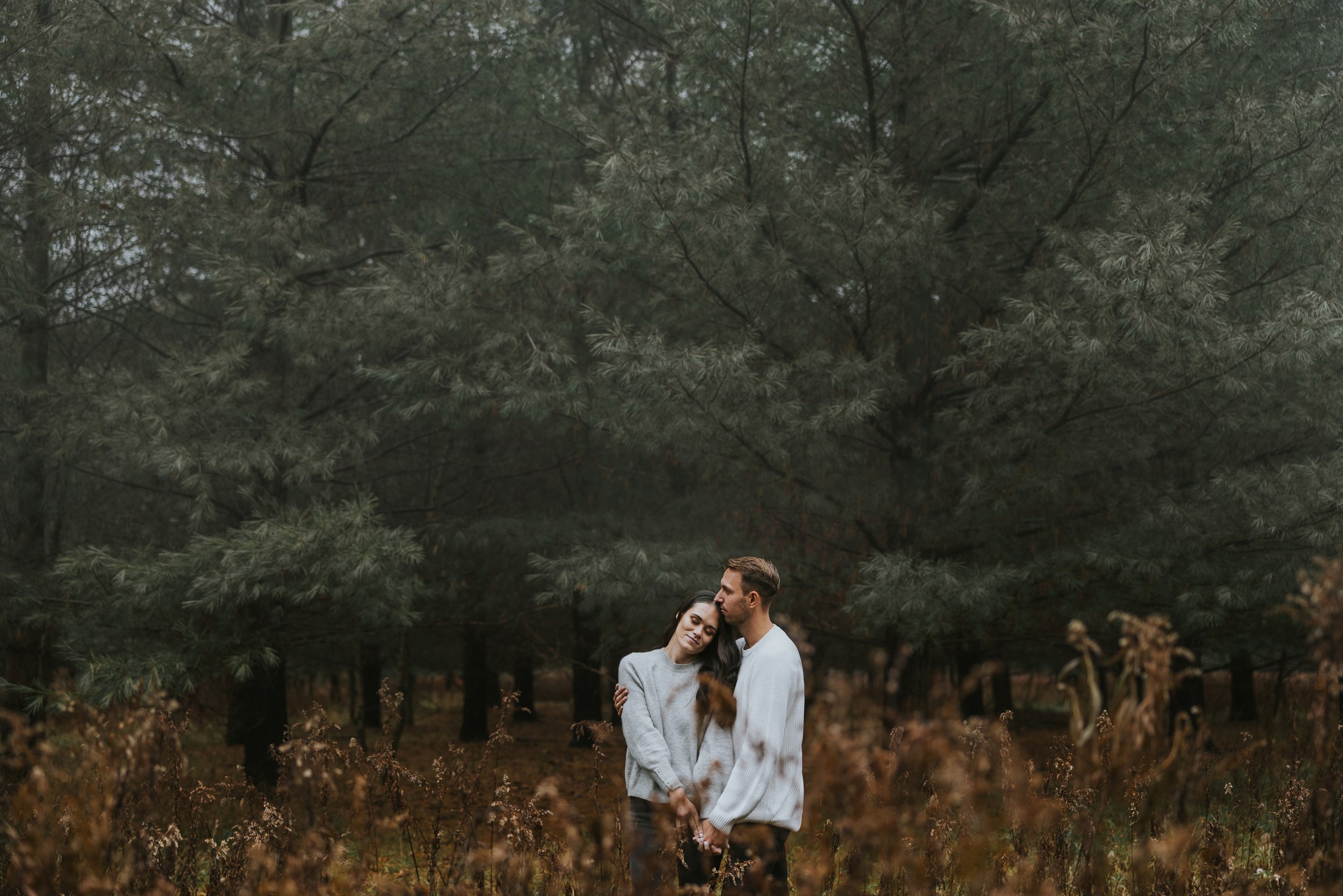 Couple embracing in a wilderness setting, with pine trees and mist creating a moody, intimate atmosphere.