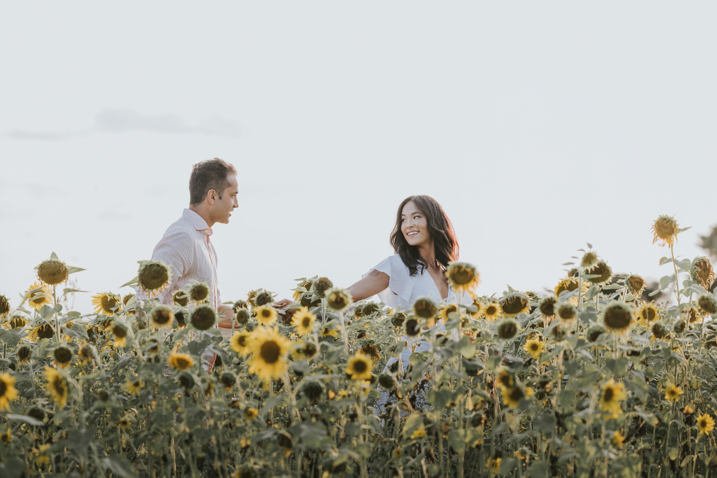 A couple walks hand in hand through a sunflower field, bathed in soft, natural light, capturing the beauty of nature and their love.