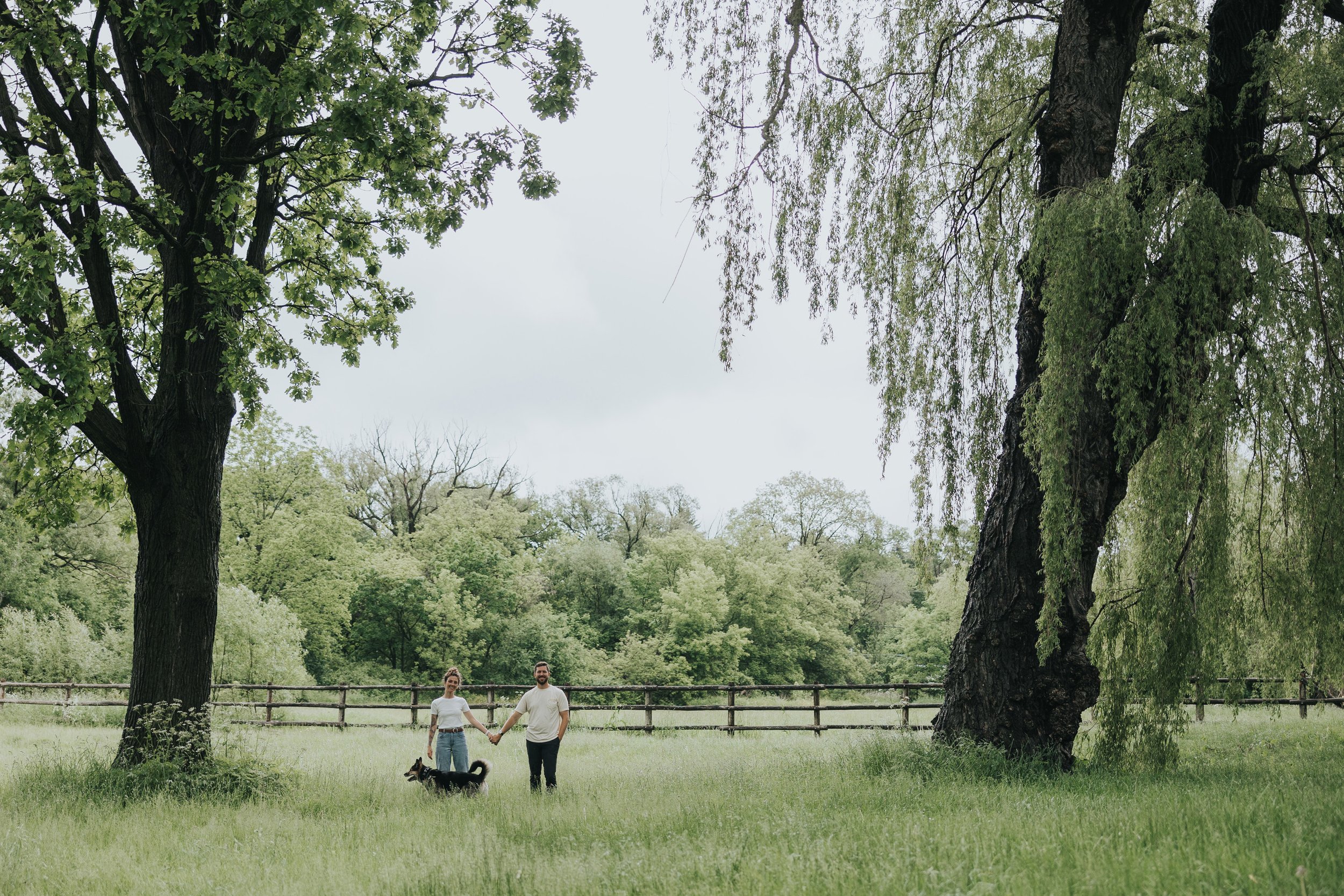 Couple walking hand-in-hand with their dog in a green meadow, surrounded by nature, capturing a moment of love and serenity.