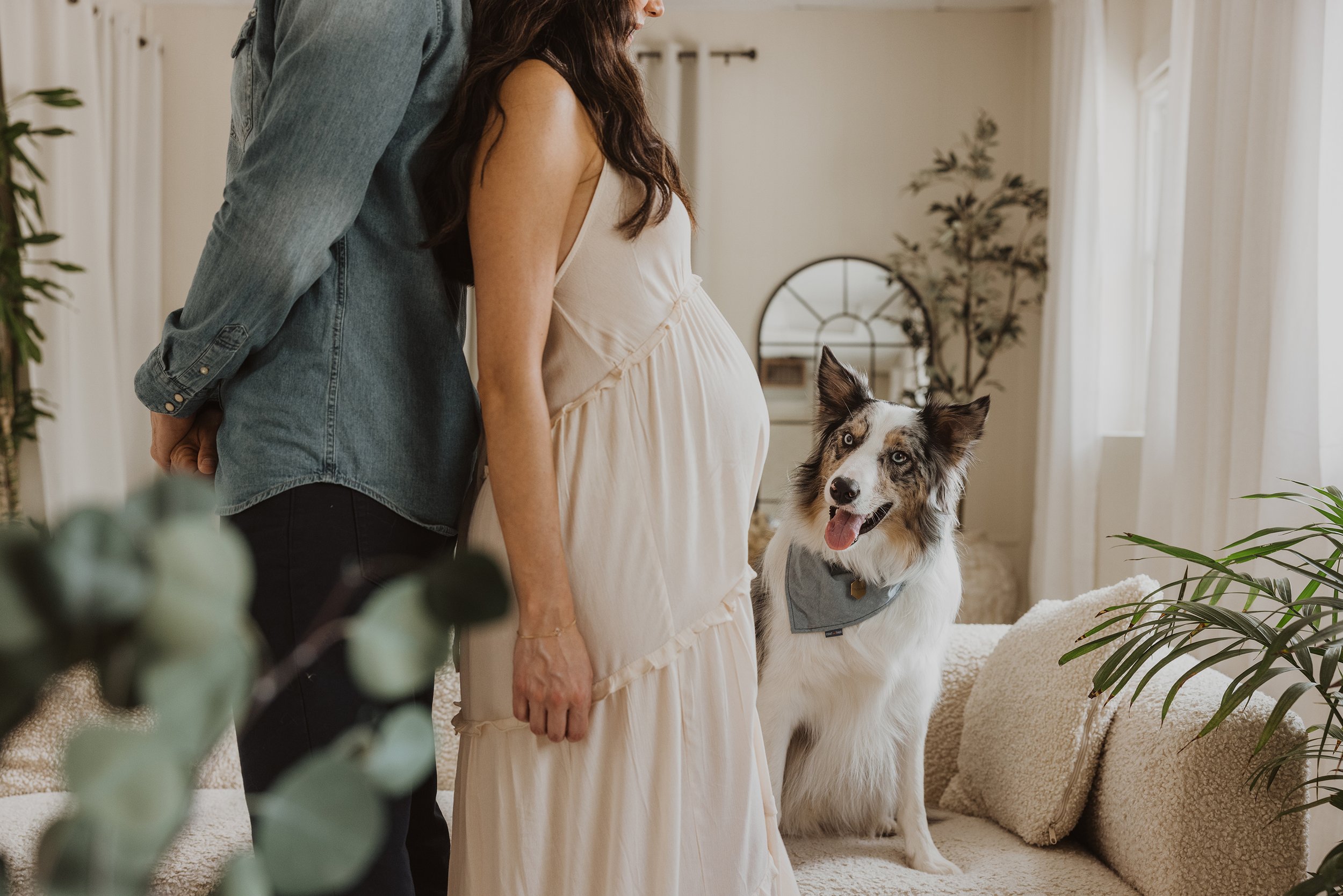 A couple standing beside a couch with their dog sitting on it, the expectant mother’s belly is visible as they share a moment.