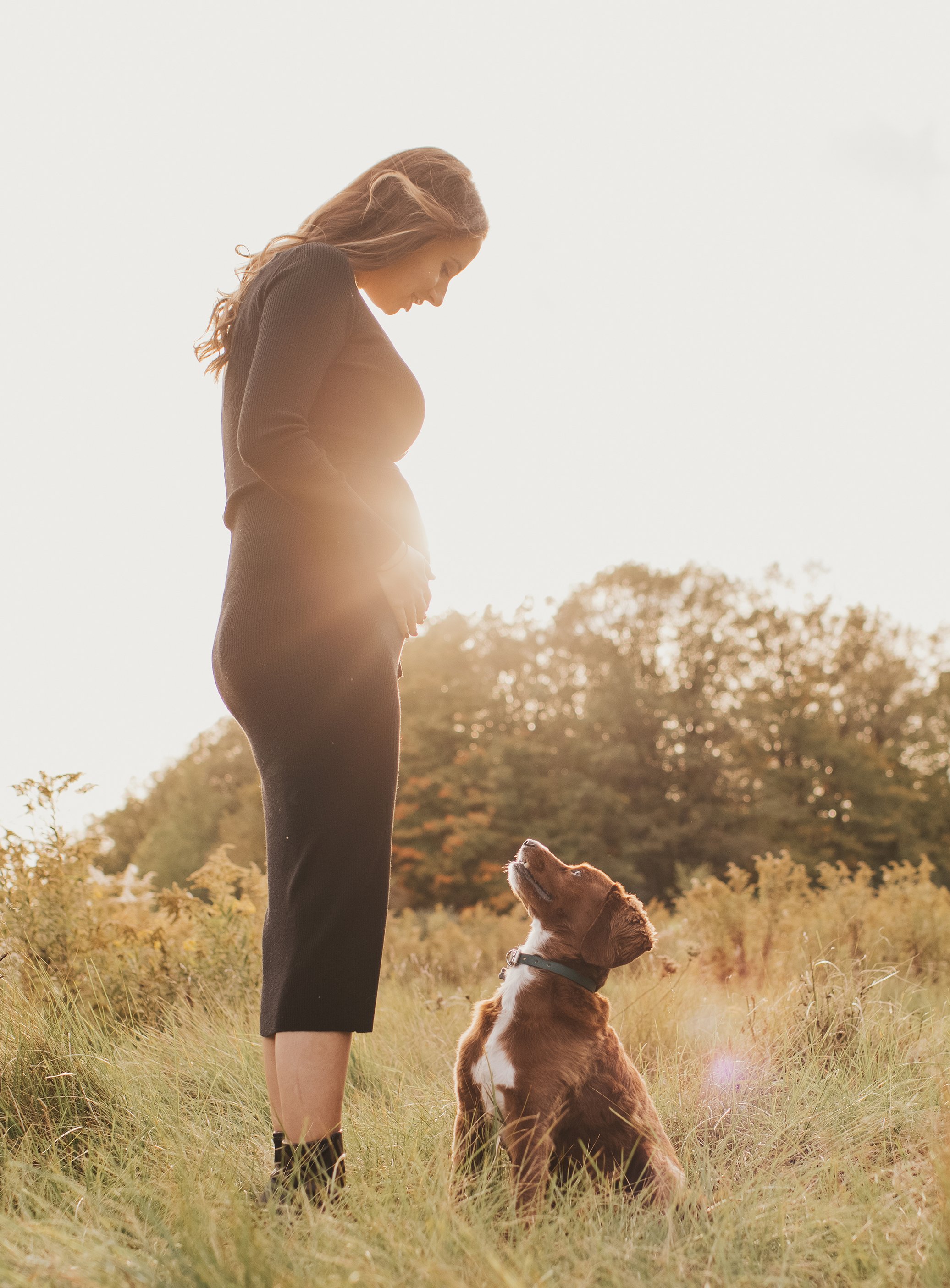 A peaceful sunset portrait of a pregnant woman standing in a field, with her dog sitting obediently at her feet.