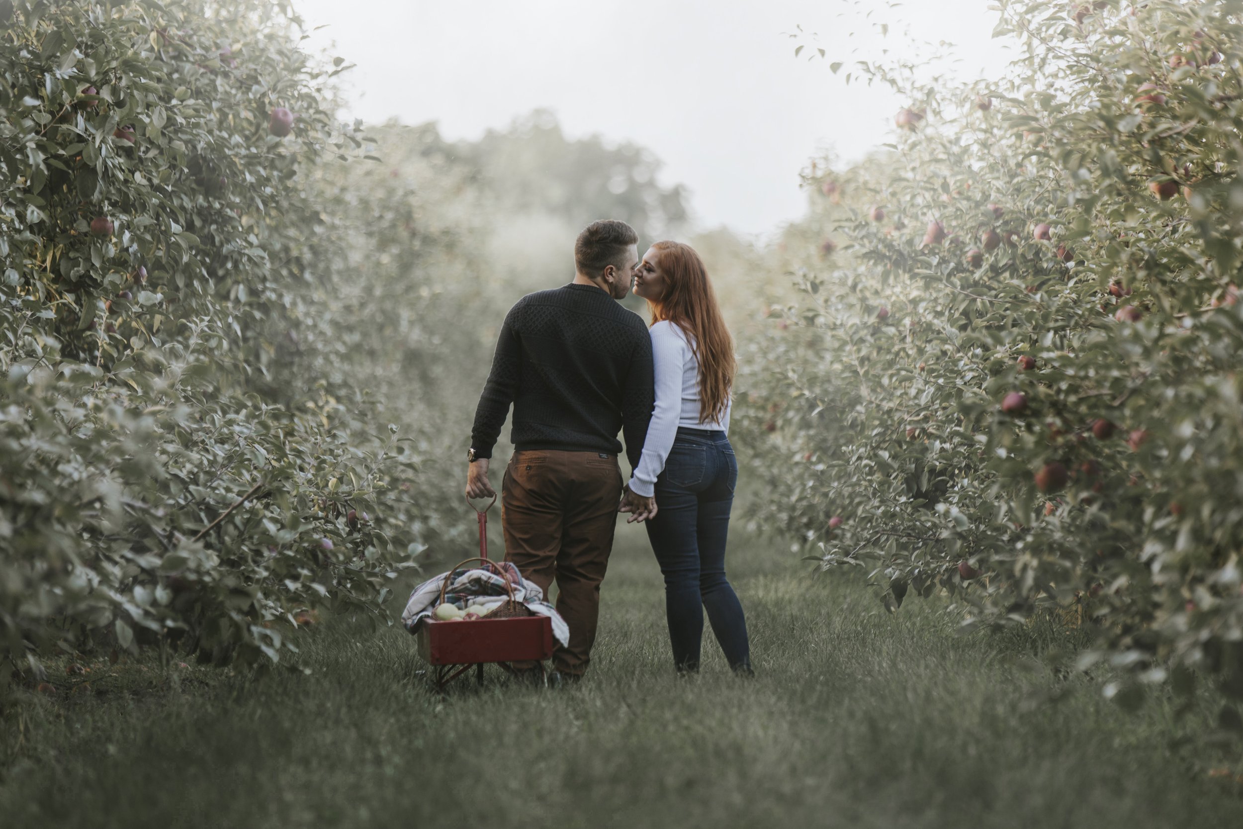 A couple enjoys a romantic picnic in an orchard, surrounded by rows of apple trees.