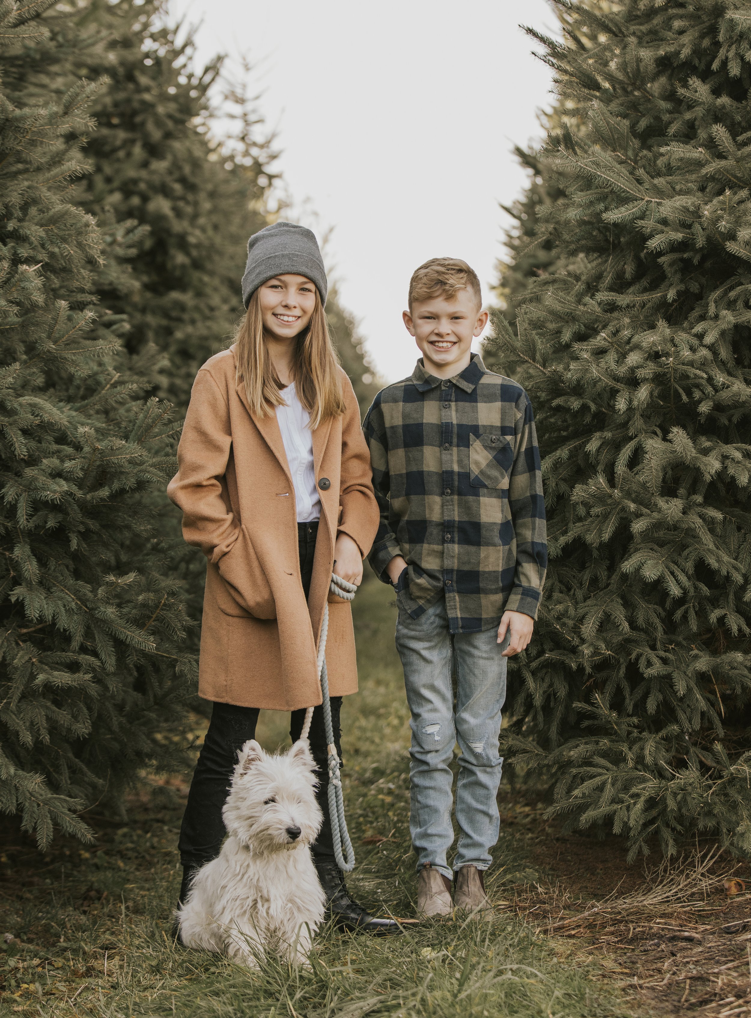 A festive portrait of two siblings standing together with a dog between Christmas trees.