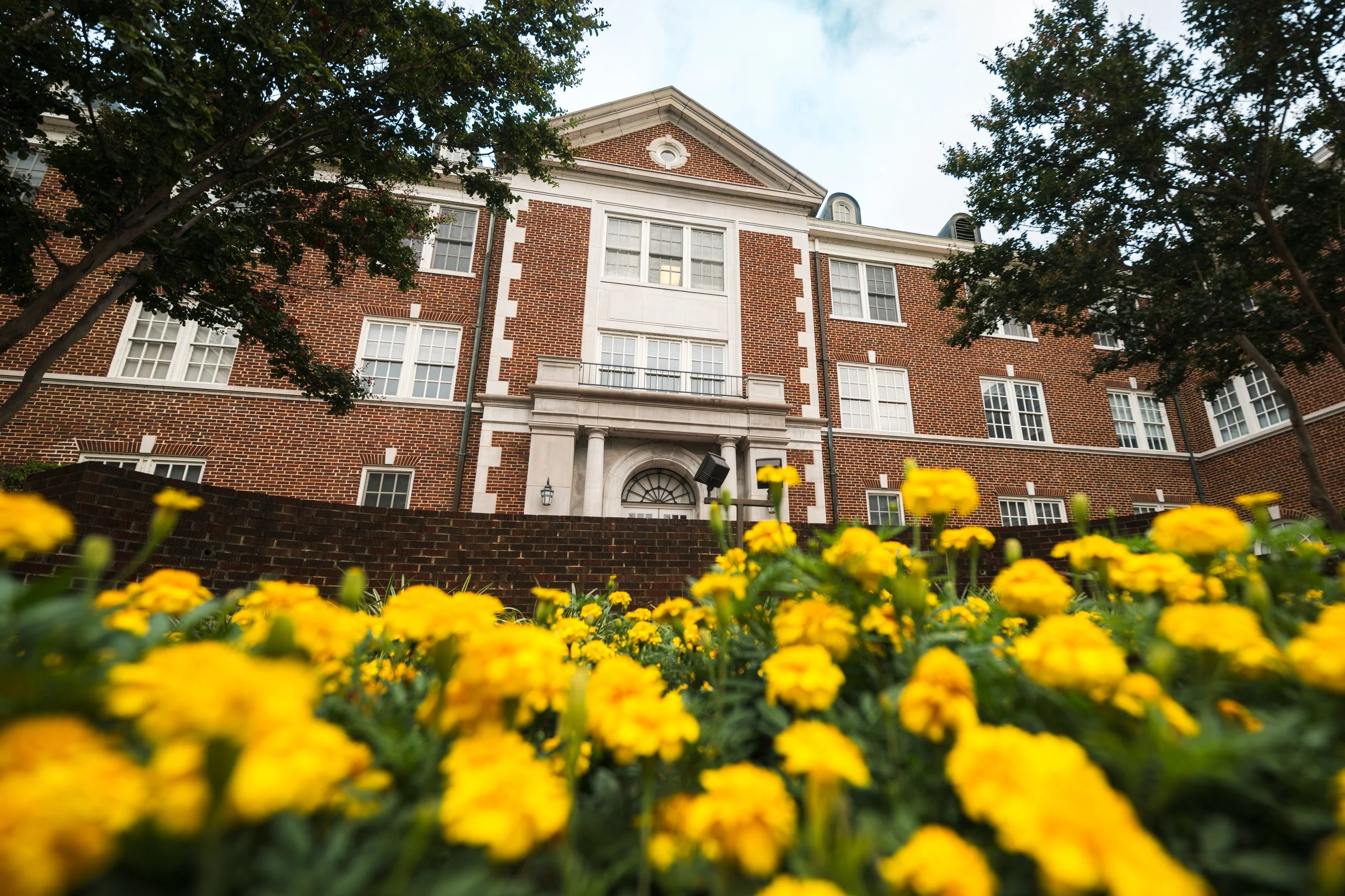 2026.06.25 - McAlister-1.jpg