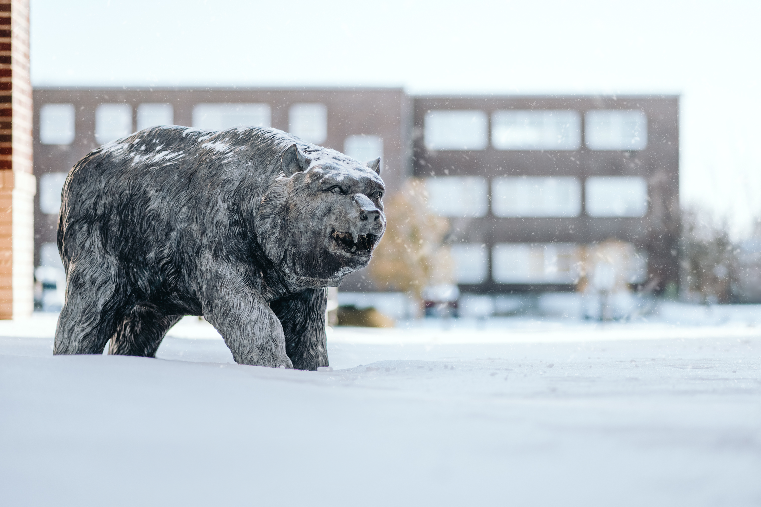 2026.01.27 - SnowyCampus-30 copy.png
