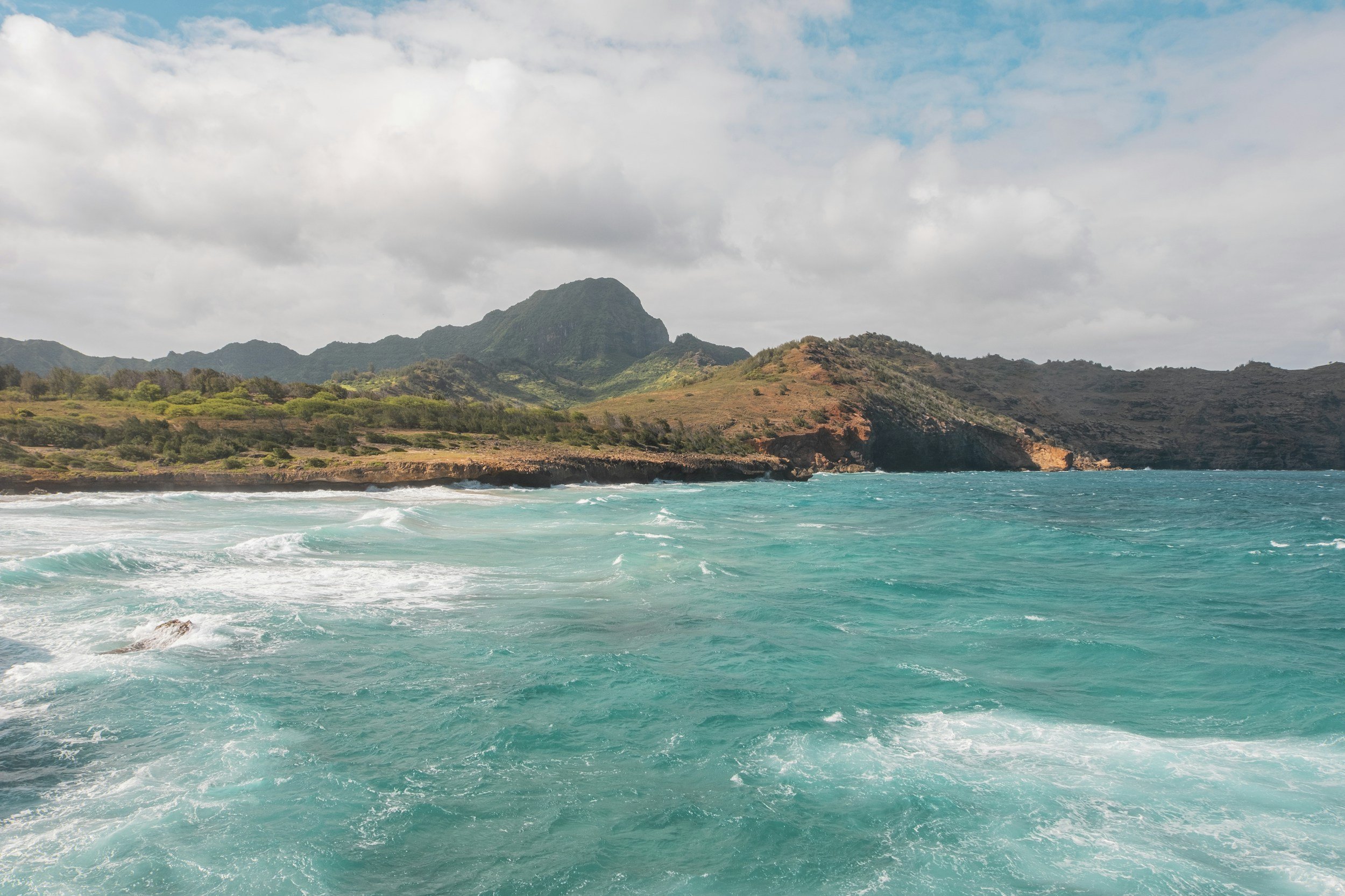 Crowned to Inspire: The Waves of Life  