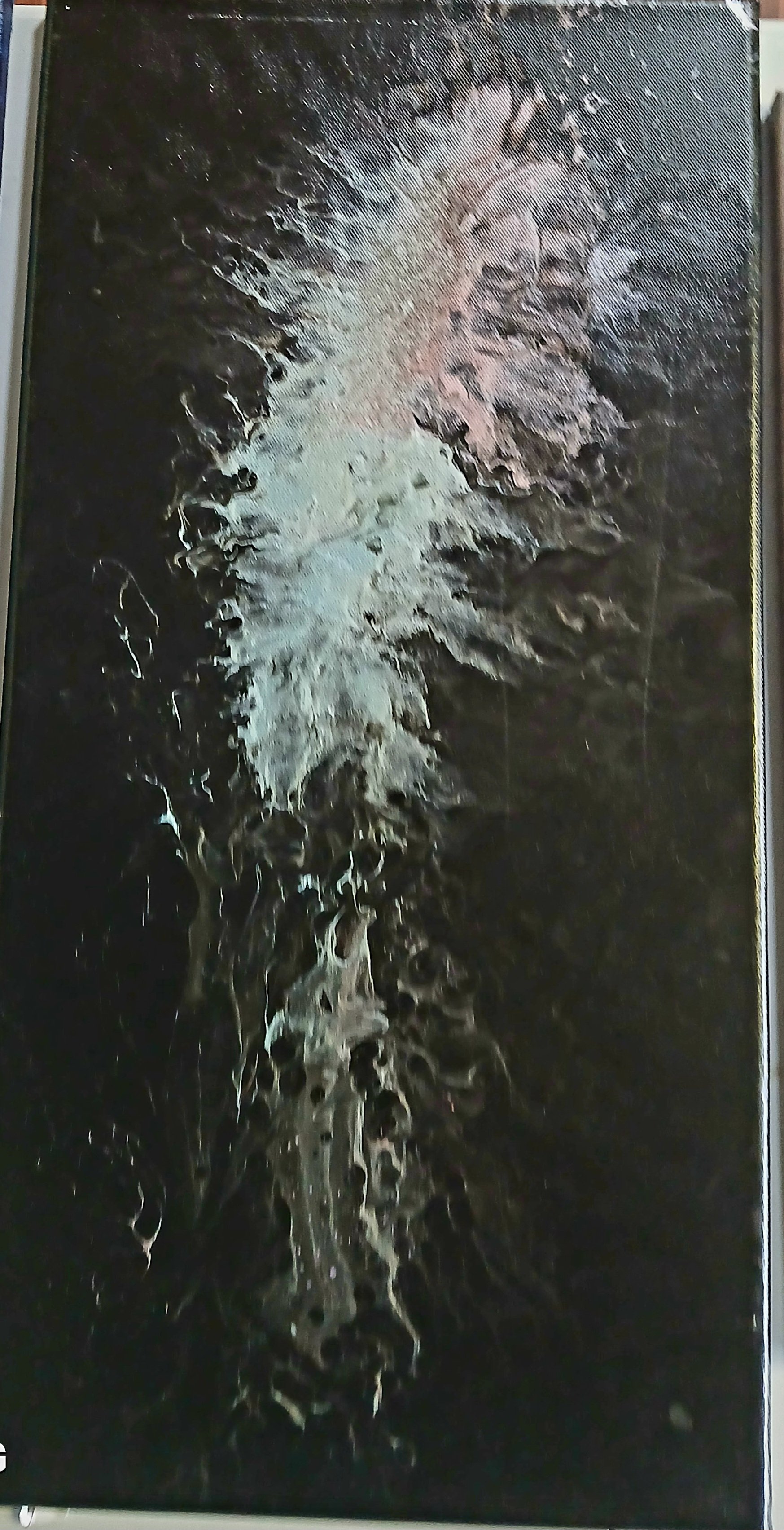 The Glass Feather by Katharine Vogel