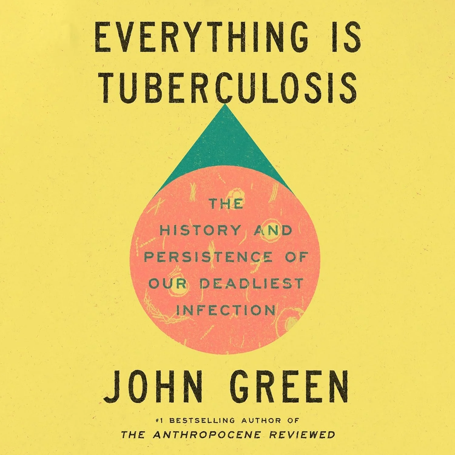 Everything is Tuberculosis (Hardcover)