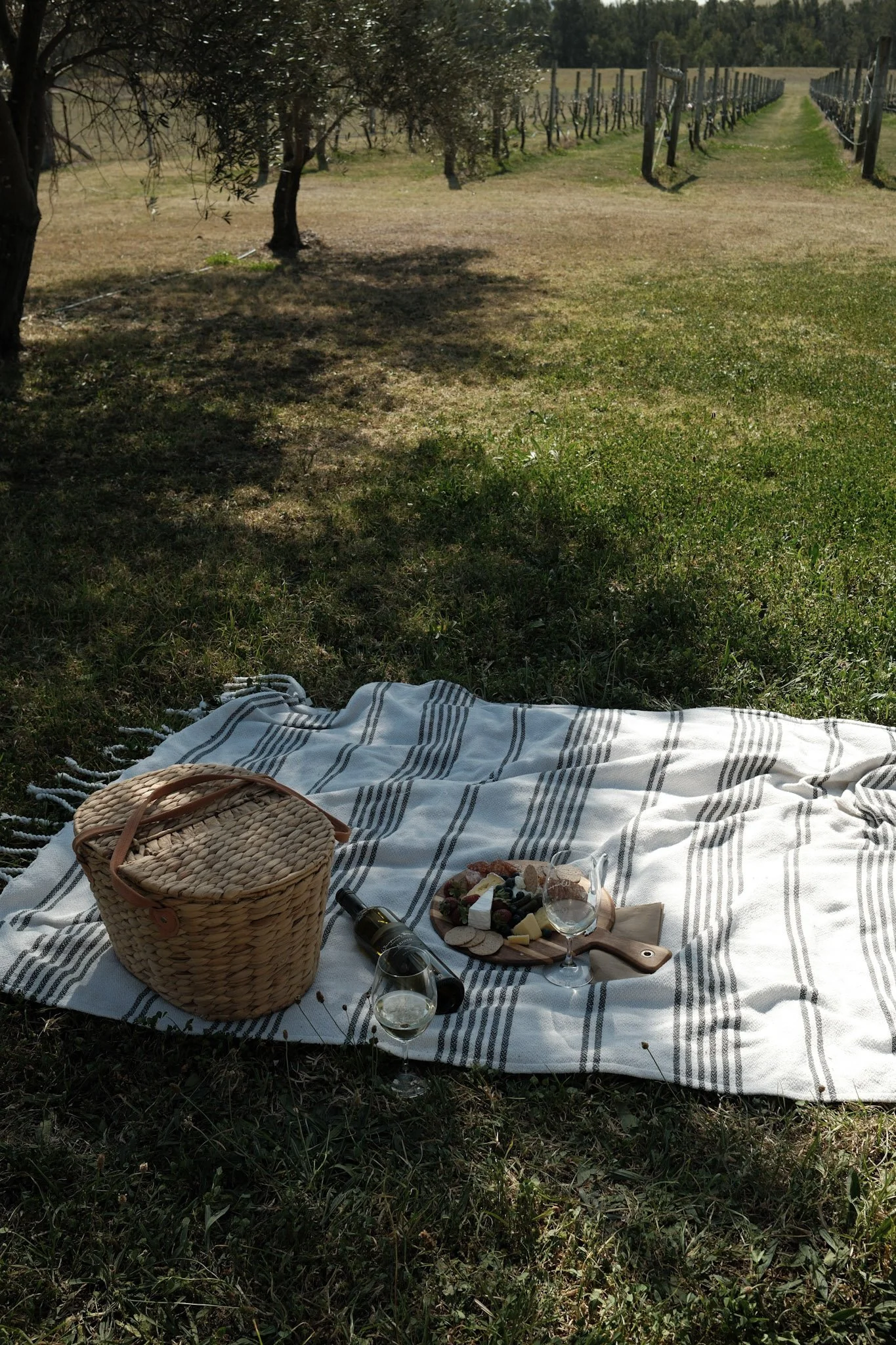 16-DSCF0913.jpg