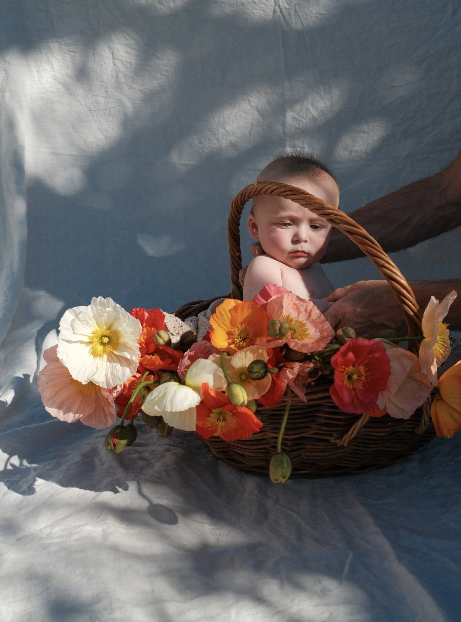 Family, Maternity and Baby Photography, Newcastle and Hunter Valley