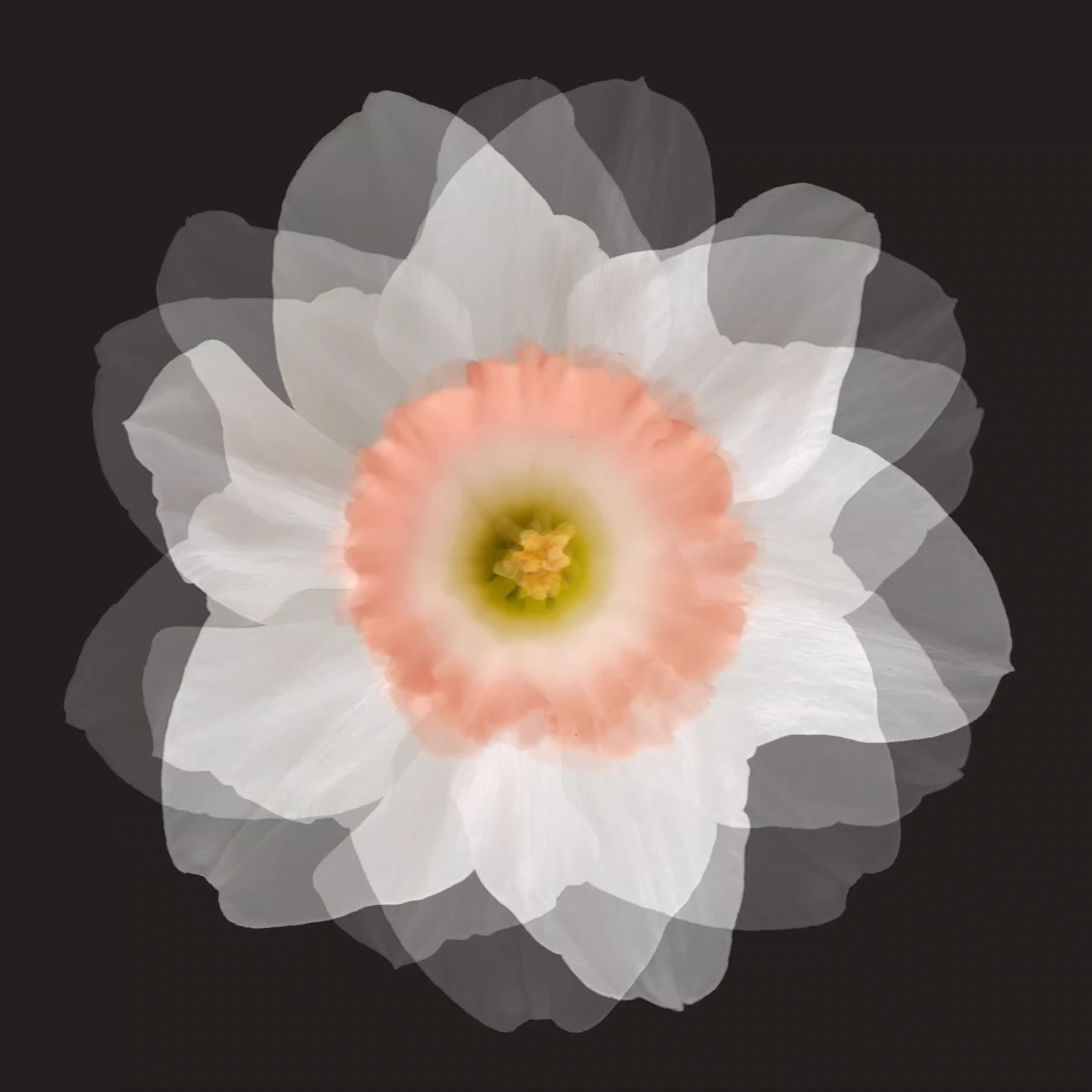 63. POEM