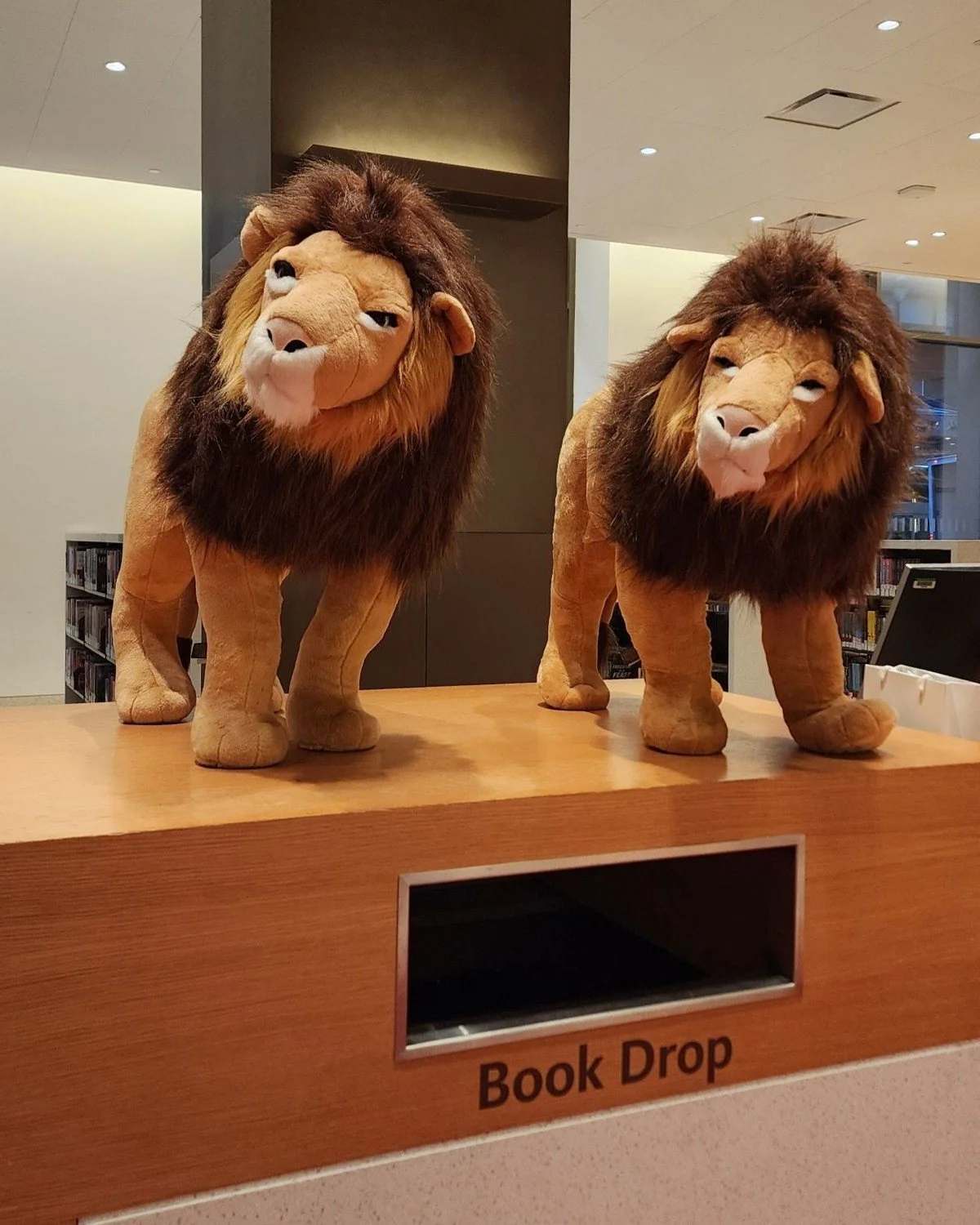 NYPL_StavrosNiarchos_lions_1200x1500.jpg
