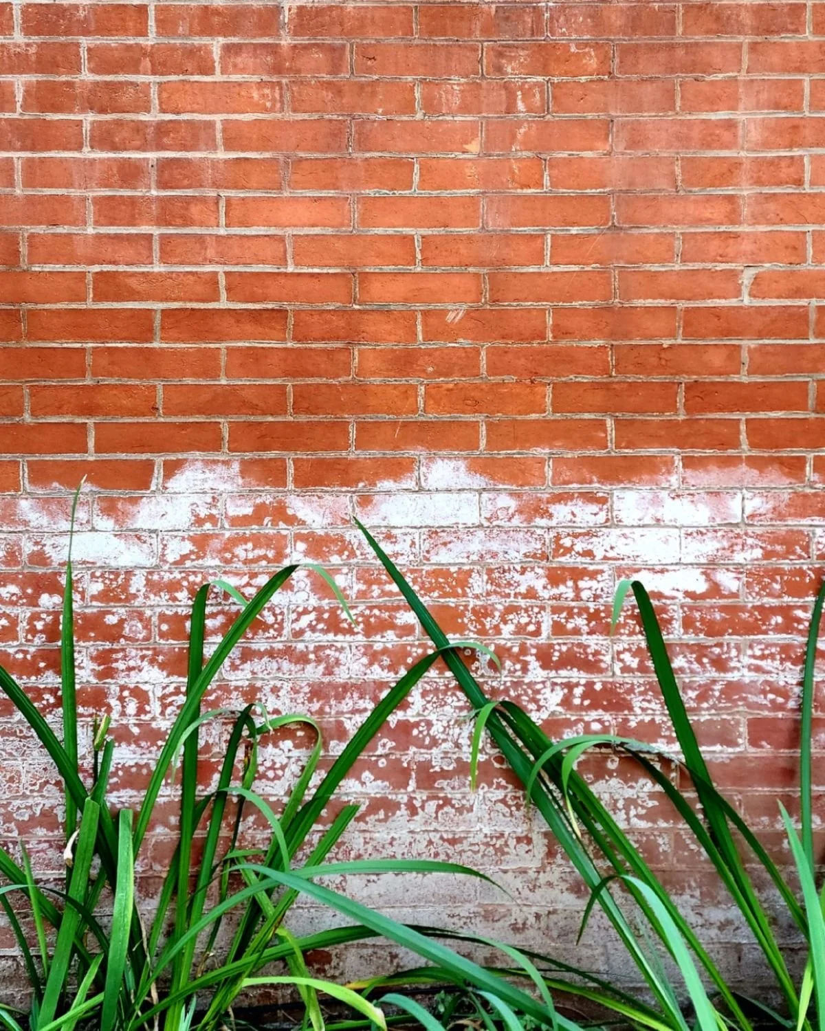 wall_brick_1200x1500.jpg