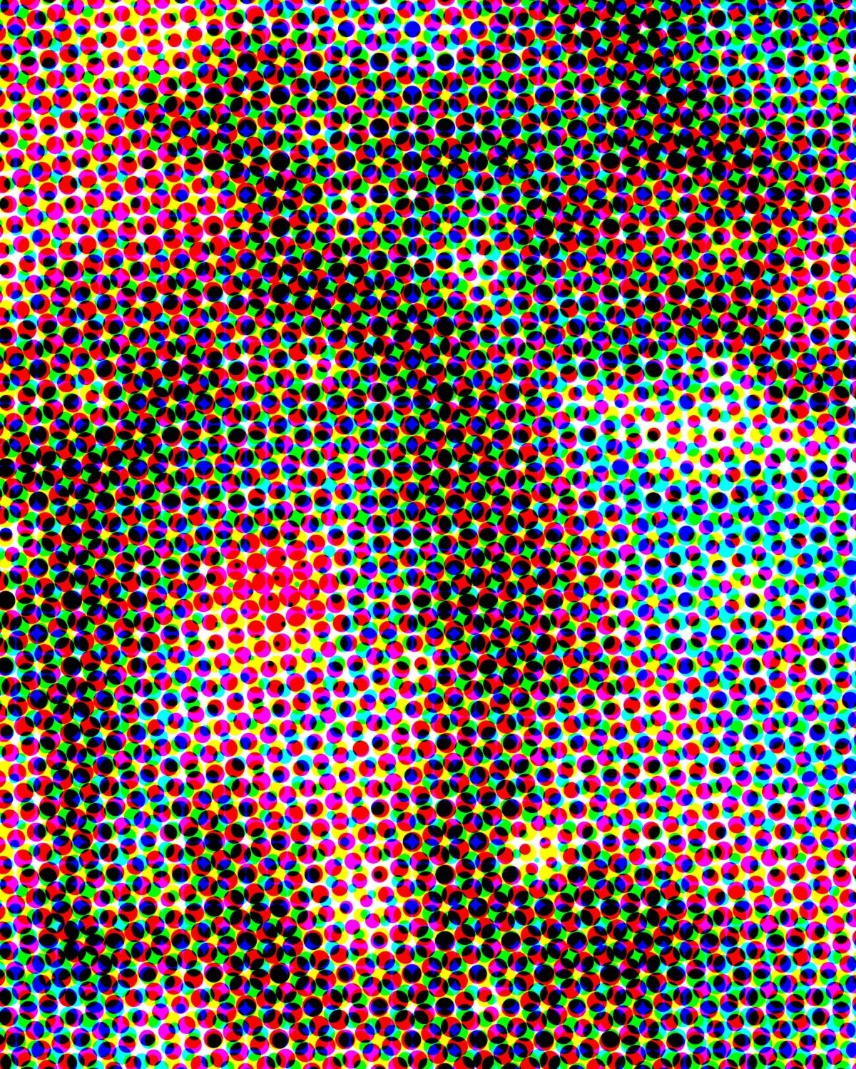cosmos_30_1200x1500.jpg