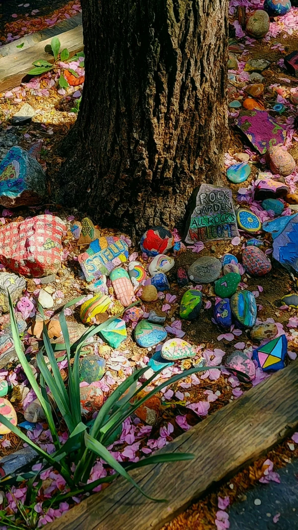 rock_garden_1200x2131.jpg
