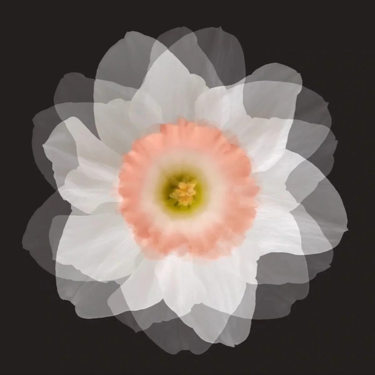 63. POEM