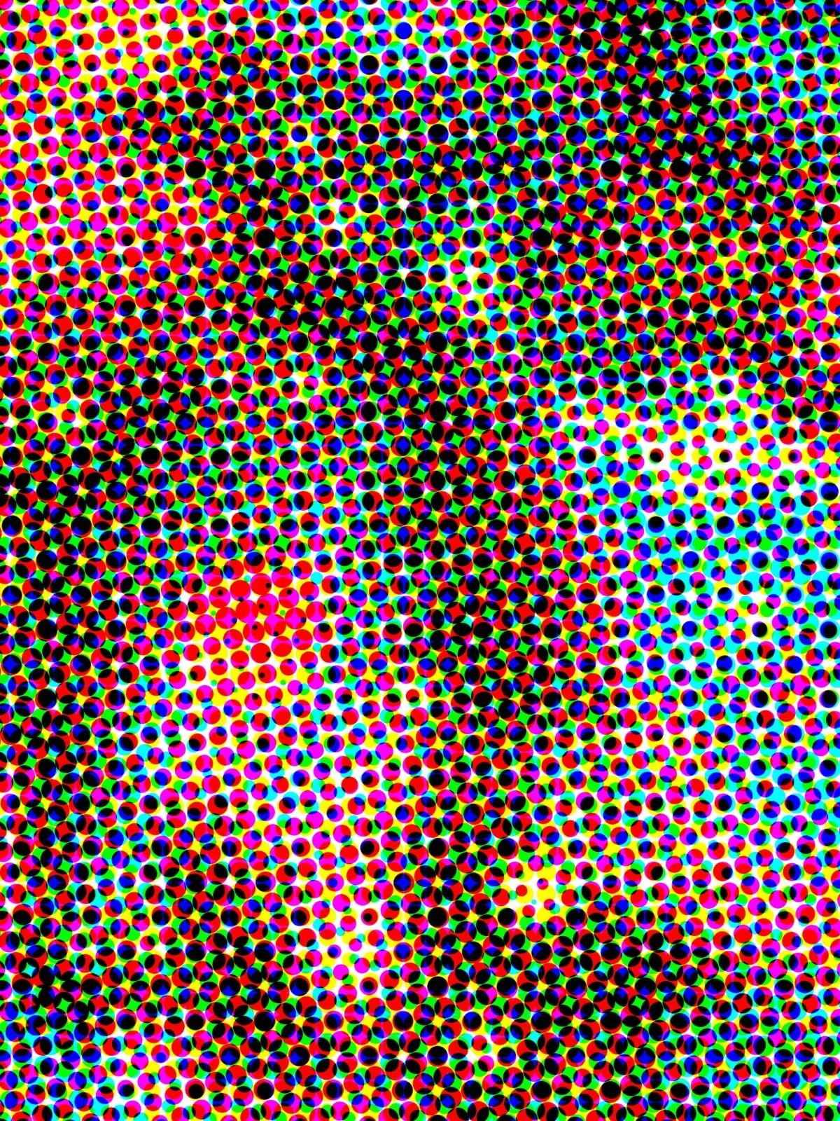 cosmos_30_1200x1600.jpg