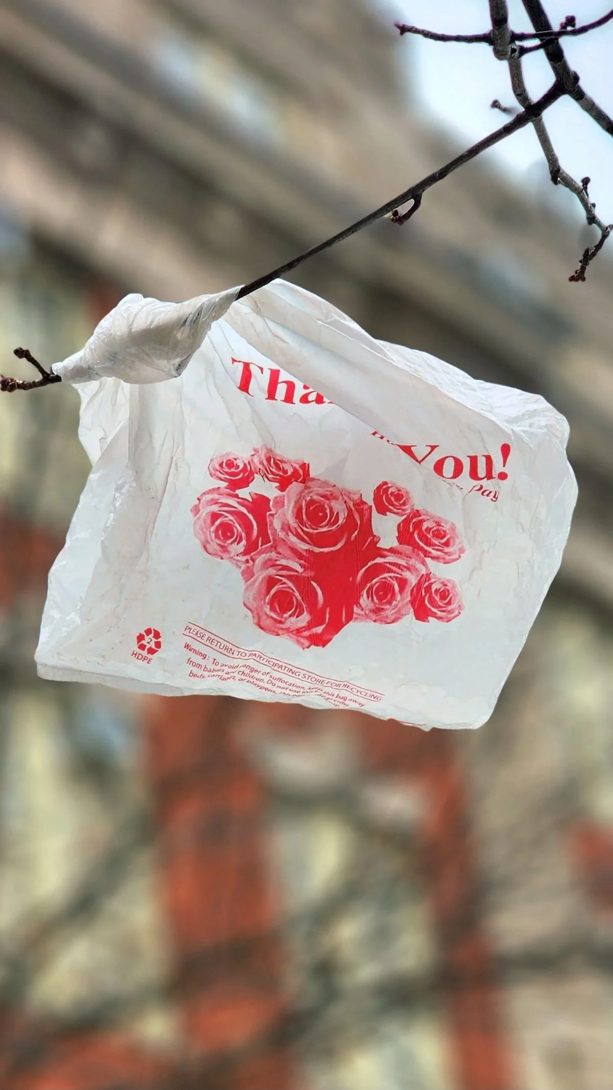thankyou_rose_1200x2132.jpg