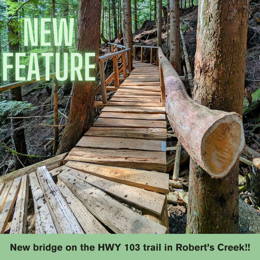 Exciting news!!

The long awaited bridge replacement on the HWY 103 trail in Roberts Creek has now been completed!

This beautiful bridge was built and installed by a collaboration of coast trail builders, and so huge shout outs go out to CMBTA membe