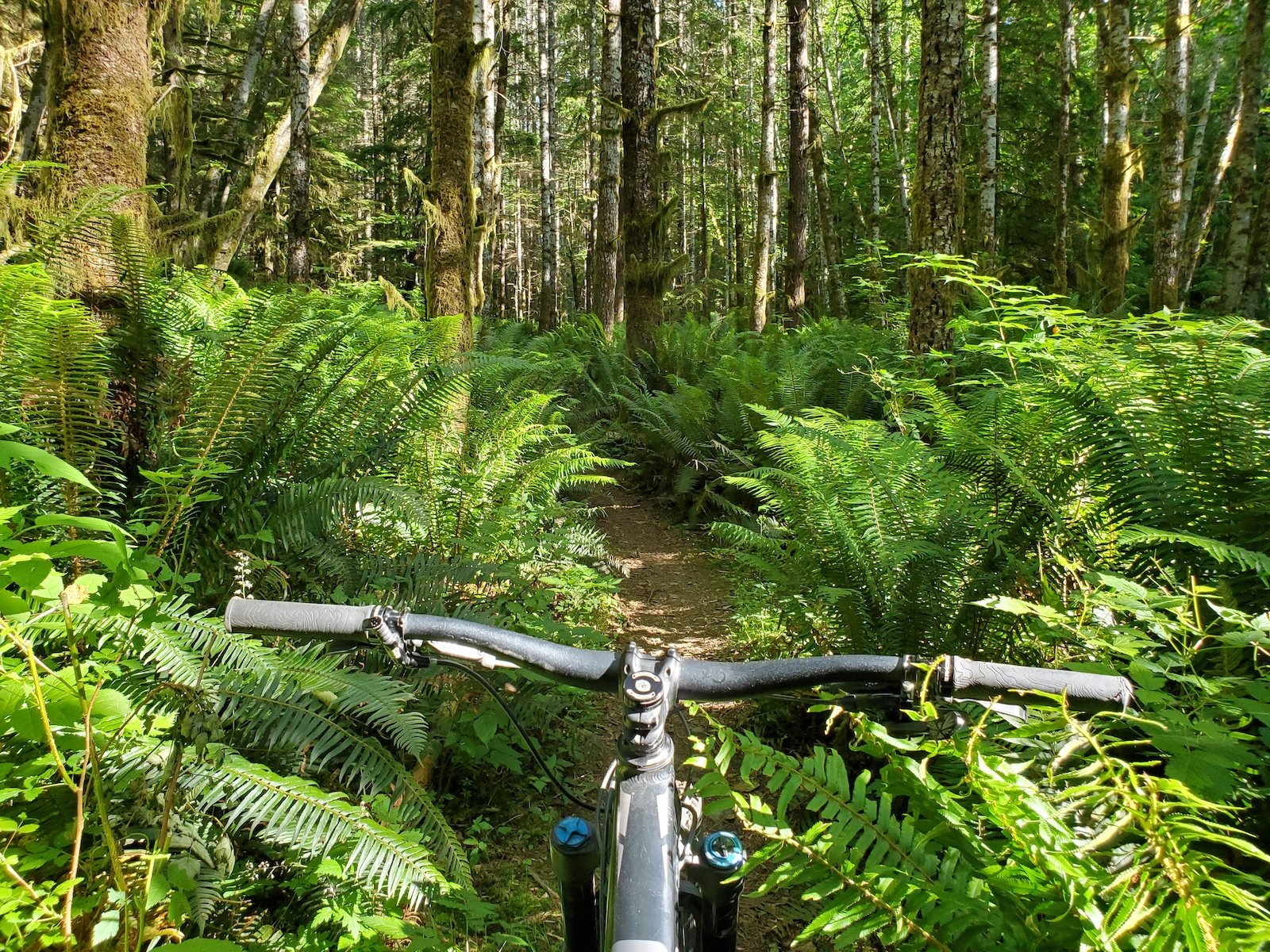 Time for another round of #WhatTrailWednesday.

This one&rsquo;s got power. Starts with a jolt, keeps going, and going&hellip; and going.

Which trail could it be? Leave your guesses in the comments