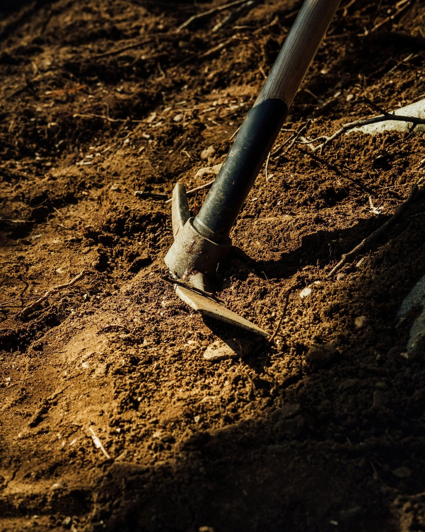 Alright trail crew, we want to know

What&rsquo;s your go-to trail day tool?

McLeod? Pick Axe? Pulaski? Shovel? Something custom you swear by?

Drop your favourite in the comments and tell us why it earns a spot in your tool kit. Bonus points for ph