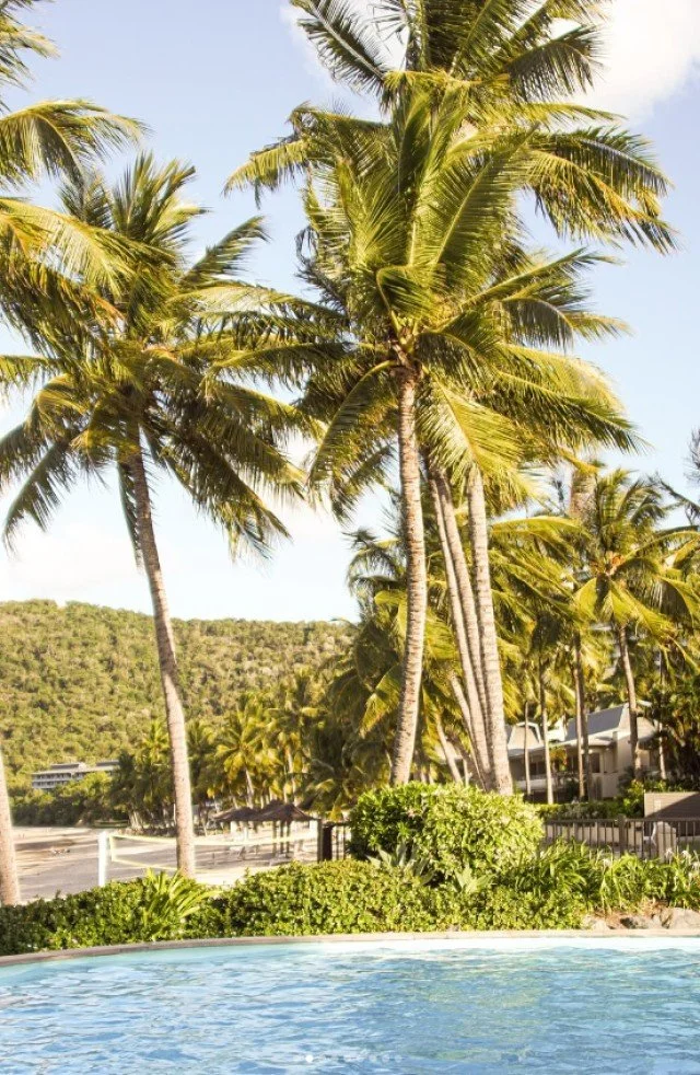 Hamilton Island living and the relaxed Whitsundays lifestyle - whether you&rsquo;re dreaming of a holiday escape or a long-term move, owning your slice of paradise is more achievable than you think. Call us today to discuss purchasing in the Whitsund