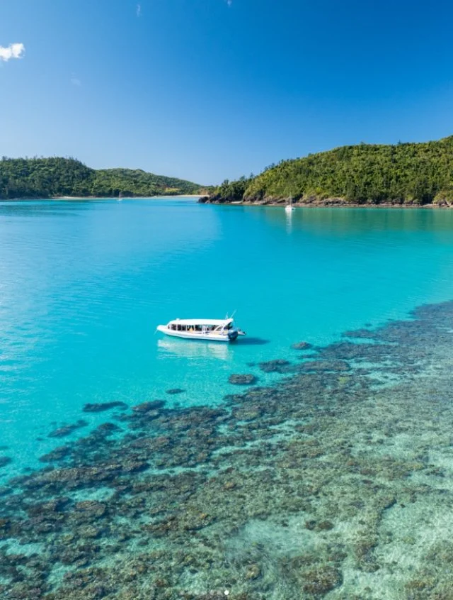 Whether you&rsquo;re visiting or lucky enough to call the Whitsundays home, an Ocean Rafting adventure is a must! 
Experience the thrill, the beauty, and the freedom that make this region so special.
Love the lifestyle? We can help you live it - cont