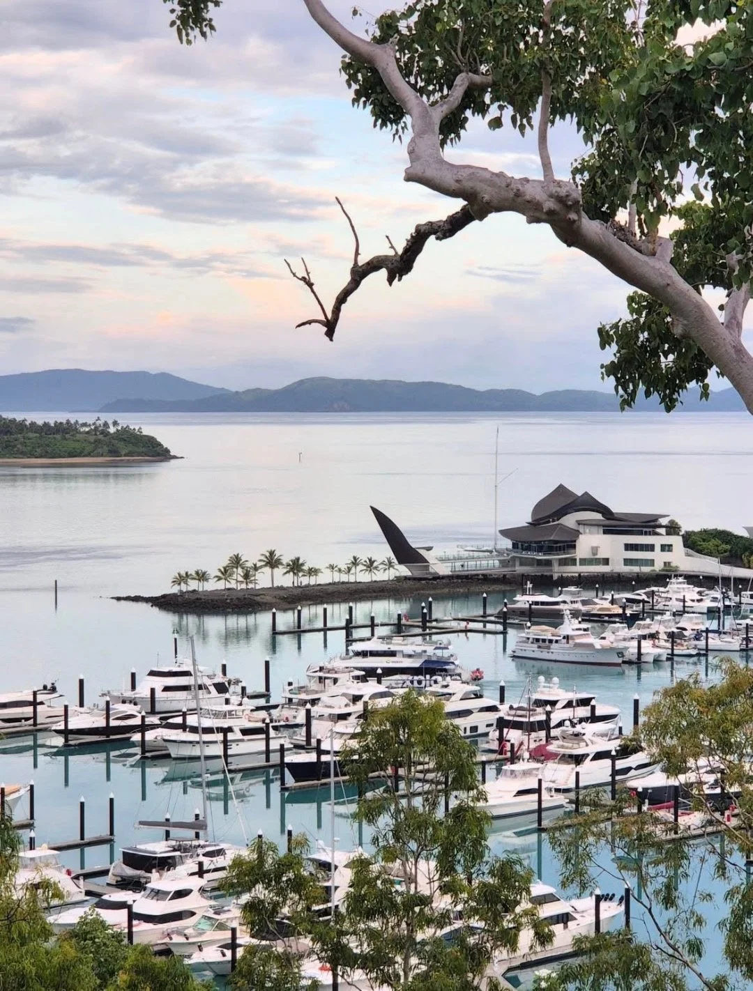 Every day is a great day on island time. Excited to be teamed up with Hamilton Island locals on their next property purchase here in paradise. 

#HamiltonIsland #Home #Whitsundays #HamiltonIslandMarina #WhitsundaysPropertyBuyers #BuyersAgency #Buyers